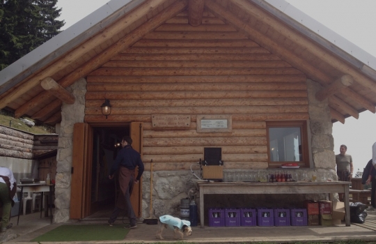 Galleria fotografica






La targa della baita Erio di Sopra a Mezzaselva di Roana (Vicenza), 600 metri sopra l'Altopiano di Asiago (che già di suo sta a 1.000 metri slm)





