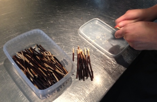 Galleria fotografica






In cammino verso il Noma. Il ristorante è al piano terra del palazzone più a sinistra. Per arrivarci dalla popolare insenatura di Nyhavn (il punto da cui è scattata la foto), occorre fare un bel giro. Ma si notano i lavori per la costruzione di un ponte. Che condurrà dritto all'insegna








Altra prospettiva sul Noma da Nyhavn. Il ristorante galleggia sulla Christianshavn, una delle tante isole artificiali che compongono Copenhagen








Di là del fiume, sulla lunga via che conduce allo spiazzo del Noma








Uno scenario molto tranquillo, di case pastello. Il silenzio è perché vanno tutti in bici













Al massimo si sente rombare qualche scafo








Il vascello davanti al Noma. Oltre a quella danese, sventolano le bandiere di Isole Far Oer e Groenlandia: le loro ambasciate sono nello stesso palazzo del ristorante. Coerenza nordica








Il retro del ristorante. L'80% delle 80 persone che lavorano al Noma viene a lavorare in bici, chef incluso








Dietro al ristorante, un'iscrizione ricorda i passeggeri scomparsi a bordo della danese Hans Hedtoft. Il transatlantico si scontrò il 30 gennaio 1959 contrò un iceberg in Groenlandia. Fu ritrovata solo una cintura di sicurezza
 








L'ingresso del ristorante, al civico 93 di Strandgade








La vista, ingresso alle spalle








Tra l'ingresso e la cucina a vista, spicca un corner di decoro simil-giapponese. A sinistra s'intravede Noma, time and place in Nordic Cuisine, edizioni Phaidon, un testo fondamentale per approfondire tutti i rivoli del Redzepi-mondo. La versione italiana si ordina qui








Una pianta di piccoli agrumi orla la cucina a vista








La porta d'ingresso vista dalla cucina








Le sedie, molto comode, sono anni Sessanta con schienali foderati di pelle di pecora, alcune più morbide di altre








I tavoli sono ampi e senza tovaglie. Attorno prevale il grigio e i colori rustici, sulle travi in legno del soffitto ma anche sulle divise dei ragazzi di sala








La finestra accanto al nostro tavolo








E' lo chef Rene Redzepi a introdurci al pasto: in un vaso di fiori danesi, l'unico pendaglio commestibile è una sorta di carta musica croccante (flatbread) di farina di malto all'aroma di ginepro. Nel piattino in basso, una deliziosa crème fraîche acida per intingerlo








Il flatbread è quello che svetta. "Ma se ci tenete, provate a mangiare anche i fiori", scherza Redzepi. Il cuoco scompare nelle segrete del Noma. Lo ritroveremo solo alla fine del pasto








Tutti i 14 appetizer si mangeranno con le mani. Unica posata, il coltello per tirar su e leccare la crème fraîche da sola (da fare quando tutti gli altri clienti son distratti, però)








Moss and Cep: Muschio di renna con polvere di funghi porcini. E' il corpo bianco, molto saporito ed evanescente, da intingere anch'esso nella crème fraîche
 








Crispy pork skin and black currant: Pelle di maiale croccante e ribes nero, lo strato più esterno. Aspro e croccante








Il ribes nero non ci lascerà prima di molto tempo








Blue mussels and celery: cozze e sedano. Solo due sono quelle buone








La parte inferiore del guscio è commestibile (ancora farina di malto)








Il quinto appetizer è nascosto in una deliziosa scatola di biscotti in latta della tradizione danese (chi non ricorda i Danish butter cookies?)








Cinque tondini, ma solo due "interessanti"








Si chiamano Cheese cookies, rocket and stems, letteralmente Biscotti al formaggio, ruchetta e gambi di erbe aromatiche, un felice snack potenzialmente riproducibile nei nord e nei sud del mondo








Appetizer #6: Potato and duck liver, Patate e fegato d'anatra: le patate croccanti sono in due strati e a mo' di sandwich racchiudono la mousse di fegato. La spolverata è di funghi trombette dei morti, disidratati e polverizzati, una tecnica che troveremo frequentemente








Dried carrot and sorrel, Carote grigliate a fuoco lento per 14 ore, disidratate e servite su polvere di fieno. Si intingono nell'emulsione di acetosella accanto. Un grande piatto perché di inattesa, energica acidità








Ottava entrée: Caramelized milk and cod liver, Biscotto di latte caramellato e fegato di merluzzo, quest'ultimo ghiacciato e pulito. Il secondo dona un aroma molto strong, che domina sul biscotto croccante. Per palati muscolari








Le uova dentro l'uovo








Pickled and smoked quails eggs, Uova di quaglia sbollentate, marinate e affumicate, un classico del Noma. Il tuorlo è completamente liquido








Col Veal fibres and söl, Filamenti di vitello e söl, decimo appetizer, entra in gioco per la prima volta un'alga di mare. E' il söl, appunto, dulse in inglese, Palmaria palmata nella tassonomia scientifica, un'alga rossa incastrata nei filamenti di vitello precedentemente tagliati sottili e poi fritti. Curioso l'impiatto a nido di ingredienti che alla fine incastrano terra e mare








Herb Toast and smoked cod roe, Toast alle erbe e uova di merluzzo affumicato, un'altra grandiosa tapa nordica da far su in due bocconi. Se non ricordiamo male, lo strato superiore è brodo di fegato d'anatra disidratato








Radish, soil and grass, Rapanello, "suolo" ed erba, un altro grande classico del Noma, un paesaggio commestibile di chiara genesi basca-adrianesca, molto replicato negli anni. Carote baby e rapanelli sono interrati in un "suolo" che è una crema di farina di malto con nocciole disidratate. Sotto ancora, uno yogurt di erbe. Finite le verdure, abbiamo chiesto dei cucchiaini per ripulire il suolo








Una foto (di spreadbutter) chiarisce meglio il contenuto del vasetto








Æbleskiver e muikku, penultimo appetizer, di concezione piuttosto recente. Un'antica tradizione dolce danese (Æbleskiver significa "piccoli pezzi di mela" ma la mela qui non c'è) è presentata in versione salata. Code e teste dei muikku, sorta di aringhe baby, sono infilzate in due bigné dall'impasto molto morbido con del ripieno di cetriolo marinato, ben riconoscibile al palato. L'aspetto dispone il cliente alla sfida ma la sua bizzarria visiva si scioglie presto in due bocconi morbidi, eleganti e deliziosi








Ultimo di 14 appetizer: Sorrel leaf and cricket paste, Foglia di acetosella (leggermente piccante) con pasta di grillo. Sì, proprio l'insetto dei prati, qui in consistenza di crema, inserita nel gambo dell'acetosella. Mettendo a fermentare grilli e orzo fermentato, Redzepi ha ottenuto una sorta di garum molto interessante, simile alla soia. Completa il piatto in foto, una granita di nasturzio ghiacciato








E il vino? Non producendo la Danimarca nettari di rilievo, è forse il capitolo meno allettante del Noma. La carta è un trionfo di vini ottenuti in climi freddi: francesi, tedeschi o austriaci soprattutto. Vini di acidità spinta che si combinano bene con le prevalenti acidità dei piatti. Le persone inquadrate nella foto hanno optato per il pairing coi succhi di frutta, quelli sì interessanti e autoctoni: il percorso prevede 7-8 succhi tra cui carote e ginepro, sedano e sedanorapa, cetriolo, eccetera. E i vini italiani? Pochi e tutti rossi, soprattutto di produttori di nebbiolo del Piemonte. "Ma li chiedono solo i norvegesi", ci raccontano








Terminati appetizer e main courses, sbirciamo i lavori in cucina. In primo piano, Samuel Nutter, sous chef inglese








Al centro, riconosciamo Matthew Orlando di San Diego, 35 anni e da 4 e mezzo head chef del Noma. Più tardi ci rivelerà che entro un paio d'anni aprirà il suo ristorante a Copenhagen. "E Renè che ne pensa?", chiediamo. "E' proprio lui a incoraggiarci a metterci in proprio", risponde Orlando. Vero, chiedere anche a Christian Puglisi








Ancora Orlando ci spiegherà che, tra sala, cucina, preparazioni e laboratorio, il Noma arriva a impiegare dall'alba a mezzanotte fino a 80 persone








La cucina prevede 7 comparti: il caldo, il freddo, la pasticceria, gli snack, produzione e mise-en-place, le preparazioni della squadra del mattino e la ricerca (su quest'ultima torneremo più avanti). Gli stagisti scelgono di lavorarci, sapendo di non essere pagati. Redzepi riceve un centinaio di curricula a settimana








Torniamo a tavola e troviamo nuove posate: rami appuntiti di sambuco








Servono a infilzare il primo delle portate "serie", Potato and snails, patate e lumache, servito in due piatti. Il primo è una terrina (rovente) di piccole deliziose patate affumicate e semiaffogate in una salsa al burro dolce e al tavolo spolverate con sale proprio di sambuco. Accanto, piccoli ceppi d'albero affumicati








Accanto, l'altra metà del piatto da infilzare coi bastoncini di sambuco: lumache glassate nel loro succo con burro dolce, olio al prezzemolo ed emulsione di piselli fermentati








Dopo 15 portate arrivano le posate. "Si torna alla civiltà", scherza il ragazzo di sala








...e arriva pure il pane, nascosto in una stoffa soffice con accanto due ciotoline che contengono burro da latte di capra e burro di grasso e crumble di maiale. Colesterolemici, vade retro








Solleviamo la stoffa: il pane è una pagnotta di lievito naturale di grano locale. La crosta è super-fragrante e il cuore molto sofficie e poroso








Cooked fava beans and beach herbs, Fave stufate gentilmente ed "erbe di spiaggia" (che poi sono diversi tipi di alghe di mare). Le fave sono fantastiche nella loro compattezza inaspettatamente dolce








Con la terza portata del ciclo "serio" veniamo ai ragazzi di sala: sono tutti molto professionali ma anche rilassati. Tra i 30 e i 40 anni, molti tatuati, ruotano di continuo al nostro tavolo: una trentina dei piatti sono stati serviti e illustrati da 10 camerieri diversi, molti dei quali cuochi dei livelli più alti della gerarchia. Il ragazzo in foto che ci serve Berries and cucumber, Bacche e cetrioli, si chiama Beau Clugston, è australiano e da poche ore è un nuovo sous-chef del Noma








Ai frutti di bosco e insalata di cetrioli si unisce del succo di camomilla...








...et voilà








Insalata di brown crab (granchi atlantici), tuorlo d'uovo, erbe di campo e il rosso sono le uova del granchio. I ragazzi si raccomandano di fare attenzione perchè potrebbe esserci del carapace o delle chele: la carne del granchio è stata rimossa tutta a mano. Noi ci scontriamo solo con un fresco schiaffo iodato








Accanto alle langoustine, scampi norvegesi, torna l'alga söl, questa volta in forma di emulsione con acqua di ostriche. I puntini rossi sono segale disidratata








Cavolfiore e pino, crema e rafano. Pensi a una capasanta e invece è un trancio di cavolfiore quello che spunta da sotto gli aghi di pino. E' ricavato dalla parte alta dell'ortaggio, arrostito a arricchito con gli aromi di pino, abete, ginepro e rafano. L'orto e il silvestre








Lucioperca con gambi di verdure. Impeccabile ma insolitamente classico nella sua concezione su salsa al burro e capperi. Incuriosisce la disposizione, che lascia intonsa più di metà del piatto. Come a voler lasciar libero il lucioperca di sguazzare di nuovo








Arrivano in tavola nuovi oggetti: olio di fieno e un cronometro. E' l'inizio del gioco di The hen and the egg, La gallina e l'uovo








The hen and the egg #2: attorno a un tegamino rovente su del fieno appena umido, notiamo una chips a spirale di patata e un uovo (d'anatra, ci dicono)








The hen and the egg #3: accanto al tegame, foglie di spinaci, aglio selvatico, germogli e fiori di campo vari








The hen and the egg #4. "Dovete rompere voi l'uovo e cuocerlo", ci spiegano armati di olio di fieno, che spruzzeranno nel tegame prima del nostro esercizio








The hen and the egg #5: son riuscito a non sbrodolare. Il piatto, spiegherà Redzepi poi, "E' un po' un invito sdrammatizzante a cucinare. Sono rimasto sorpreso dal fatto che tanti clienti non hanno mai rotto un uovo. Cerco di mostrare loro che la cucina è in fondo un esercizio molto elementare"








The hen and the egg #6: dopo 120 secondi esatti di cronometro, si uniscono all'uovo le verdure e si rimesta il tutto








The hen and the egg #7: tocco finale, una salsa di acetosella. Il piatto non è memorabile...








...ma il risultato è lo stesso delle 21 portate precedenti: piatto spazzolato The hen and the egg #8








Animelle di vitello, erbe di campo, funghi e sedanorapa. Un gran piatto, ma non esattamente quello che ti aspetti al Noma. Sottigliezze eh








A un passo dai dolci, il brusio in sala si fa più sostenuto. L'alcol e le discussioni sull'incredibile girandola di piatti provati








E il brusio lievita ancora al primo dei due dolci: Blueberries and ants, Mirtilli e formiche (la foto è di garyalanfine, avevo terminato le batterie). Il piatto è duplice: la foto mostra la prima metà, che racchiude una confettura di formiche tra due foglie di nasturzio. Ce la porta al tavolo Rosio Sanchez da Chicago, splendida coordinatrice dei dessert del Noma. E le formiche? Ci torniamo alla fine della gallery








Mirtilli e formiche parte seconda: accanto alle foglie di nasturzio con formiche, arriva un geniale sandwich con gelato di mirtilli (la foto è ancora di garyalanfine)








Ventiquattresimo e ultimo piatto, un "classico" Gammel Dansk, sorta di Jaegermeister danese qui sposato ad acetosella e latte disidratato. Apprezziamo la voglia di non sovraccaricare con ulteriori bombe al cioccolato o altre grasse cremosità che a fine pasto chiederebbero gli straordinari ai succhi gastrici (grazie ancora a garyalanfine)








Dopo oltre 3 ore di degustazione, ci si accomoda tutti nel dehors accanto: in vetrina spiccano grappe di Brunello








Potevano farti mancare lo skyr, il formaggio fermentato acido degli islandesi? Certo che no: agli albori della New Nordic Cuisine venne praticamente brandito da Redzepi come simbolo delle rivoluzione. L'arma per contrastare il dilagare dei formaggi francesi in Danimarca, così come l'olio di colza in vece dell'olio d'oliva








Riordinata la sala per la sera, Kim Sander e Matthew Orlando ci invitano a fare un sopralluogo nei back office del Noma








I ragazzi si divertono ma il lavoro è un massacro: tra il pranzo e la cena ci sono solo 45 minuti di pausa, dalle 17 alle 17.45. "Per questo", spiega Redzepi, "è fondamentale tenere chiuso due giorni, domenica e lunedì. Così stacchiamo da ogni pensiero. 7 su 7 sarebbe controproducente per l'umore di tutti"








Orlando ci mostra il gazebo all'aperto sul retro, dove si griglia e affumica qualsiasi cosa








Al primo piano, un tavolo da 9-15 persone che si aggiunge ai coperti del piano terra. "E' il nostro table's chef' , dice Orlando








Alle pareti, una felice riproduzione caricaturale della cucina di sotto








Nella sala accanto, uno squadrone di giovanissimi è perennemente alle prese con le pre-preparazioni








Tagliare, separare, sgusciare, sminuzzare...








Il terzo ambiente al primo piano è la sala del relax dei ragazzi...








...ma anche quella del grande capo...








...che infatti troviamo defilato ad affettare un mega-cavolo...








...che cavolo non è: "E' un fungo", rivela Renè Redzepi, "un regno che mi affascina tantissimo perché è vasto così", dice disegnando un cerchio molto ampio con le braccia, "mentre noi ne sappiamo tanto così", mima chiudendo pollice e indice. "Purtroppo questa stagione non è propizia per i funghi, troppo secca, ma non dispero"








Ma parliamo di formiche. Redzepì tira fuori un tupperwear brulicante di insetti che vagano rintontiti. "Non è questione di stravaganza o sensazionalismo", spiega, "occorre solo infrangere i nostri tabù, non come esercizio fine a se stesso, ma come esplorazione di tutti i flavour possibili"








"Senti che effluvi naturali di cardamomo escono da qui? Le formiche li rilasciano in modo del tutto naturale per tenere lontani i nemici", spiega








La sera stessa ci scrive su twitter la giornalista spagnola Julia Perez da Lima, spiegando che gli insetti amazzoni che cucina il cuoco venezuelano Sumito Estévez sanno invece di limone
 








"Un giorno, quando avrò tempo, spero non tra 10 anni, voglio trovare il modo di andare a visitare i più grandi macellai italiani". Un messaggio da girare subito a Cazzamali & co.








Formiche again, questa volta col petto rosso. La mirmecologia classifica nel mondo oltre 10mila specie di formiche, ognuna con il suo bagaglio aromatico








Si torna in cucina di sotto: Orlando controlla i vasi di malt flatbred che apriranno anche la cena





