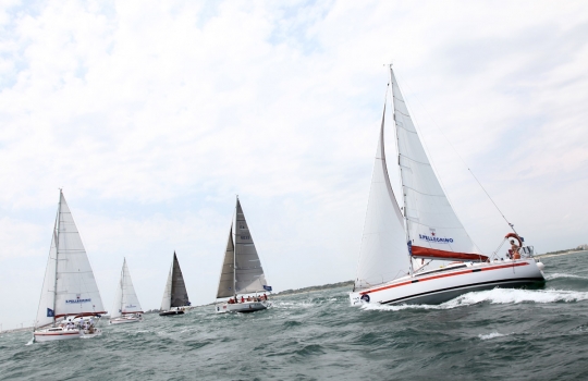 Galleria fotograficaLa regata segue un percorso di 12 miglia, dal Lido di Venezia all'Isola di San Giorgio
&nbsp;La regata in corsoGli chef fanno la spesa per la cambusa, qui Roberto Petza, chef del ristorante S'Apposentu di Casa Puddu a Siddi (Oristano)L'arrivo dei piatti al Timoteo, postazione della giuria. Qui in primo piano Marianna Vitale, chef del ristorante Sud a Quarto (Napoli)