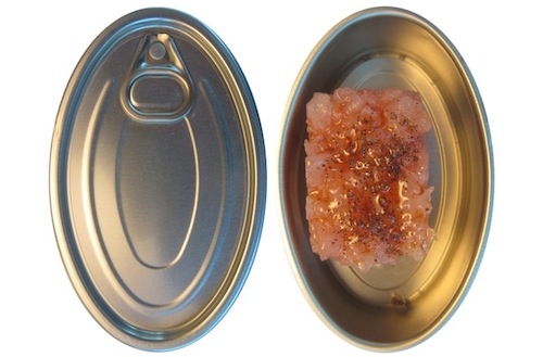 Galleria fotografica