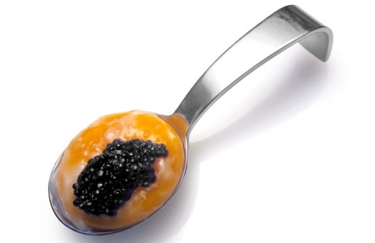 Galleria fotograficaPesce in scatola