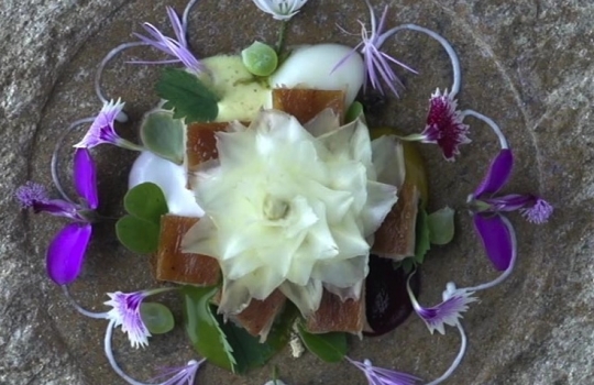 Galleria fotografica






Le prove generali








Prove del primo atto: al centro, il Bonsai di pica-pica


















Comincia la nostra esperienza: occhio all'indirizzo del centro Arts Santa Monica








Fuori staziona il van di Girona con tutto il nécessaire commestibile








Dentro, la targa coi ringraziamenti a tutti coloro che hanno lavorato al progetto








Per arrivare al set dell'opera si attraversa una mostra che proietta in oblò teaser coi motivi anticipatori di quel che troveremo dentro








Un altro teaser








Il set prima delle trasmissioni













Si parte








Una spirale ci introduce al viaggio








Al centro del tavolo, nascosto tra bonsai (un classico rochiano), pica-pica di bon bon rappresentativi di vari paesi: cevice peruviano, guacamole messicano, cous-cous marocchino...








Commensali spiazzati








Il sogno ha inizio: l'atto primo mette in tavola la Luna, sfere di tartufo bianco e nero con distillato terrestre








Intorno, un video di Franc Aleu, le musiche di Luca Francesconi e il tableware di Taller Luesma Vega








La luna








Atto secondo: lo spazio








Piatto dello spazio: aria di fichi di Cap de Creus








C'è un calice diverso per ogni atto: si passa dal cava agli champagne, dall'Armagnac ai Rioja a semplici gocce di distillati, versati anche sulla mano








Intorno, un altro splendido 3D di Franc Aleu, con le musiche di Sergi Caballero, Pedro Alcade








E' l'ofiuco, il tredicesimo segno zodiacale, tema del terzo atto













Atto quarto: Under the Sea, il set  diventa uno scenario sottomarino (vedi video 1)













E a tavola arriva una composizione golosissima di piatti di mare, servita in sculture di Pere Gifre e Dani Molina: vellutata di ricci grigliati, anemoni impanati, parmentier di octopus, marinata di frutti di mare e cirripedi













Tra un atto e l'altro, la voce calma di Josep Roca


















Atto Quinto, il Giardino delle Esperidi, dal sapore orientale: nel piatto, un fiore Mandala con limone, curry, bietole, mango, cocco, finocchio, yogurt, cannella, cardamomo, menta, zenzero, pepe, fiori, carciofi e agnello













Atto Sesto: il Corteggiamento













Motivi Yin Yang ovunque: nelle musiche di Albert Guinovart, nei video di Franc Aleu. E nel piatto dei Roca: Ostriche marinate in sherry Palo Cortado, salsa di ostriche, aglio bianco e nero








Ci si prepara ai fuochi d'artificio del settimo atto. I 12 camerieri si avvertono appena, se non quando illuminati dalle scenografie








Atto sette: i piatti sono creazioni ispirate ai fossili di Roos Van de Velde








Dopo la mela candita, tema dell'ottavo atto, l'opera assume i toni ancora più foschi nel nono, la Guerra: Royale d'oca con gocce di sangue di bietola. Le musiche di Wolfgang Mitterer e le immagini di Franc Aleu si fanno cruente (vedi video 2)








Atto Dieci: Misericordia/Morte








Spuma di patate viola, bon bon di gelato di genziana, midollo di vitello, rabarbaro con caviale e funghi trombette della morte. Attorno, fumi d'incenso di Artemisia








Dopo la Gloria (undicesimo atto, il piatto che respira del video 3) approdiamo rapidi alla chiusura del dodicesimo anno (il Risveglio della primavera)








Tutti vorrebbero ricominciasse








Amuse-bouche
Il Bonsai di pica-pica








Preludio
Brodo vegetale cotto in bassa temperatura con parole scritte








Atto 1 - Il Sogno comincia
La luna: sfere di tartufo bianco e nero con distillato di terra








Atto 2 - Lo spazio
Aria (essenza) di fichi di cactus di Cap de Creus








Atto 3 - Ofiuco
Serpente di anguilla affumicata








Atto 3 - Sotto il mare
Vellutata di ricci di mare grigliati








Atto 4 - Sotto il mare
Gamberi grigliati con teste di scampo





