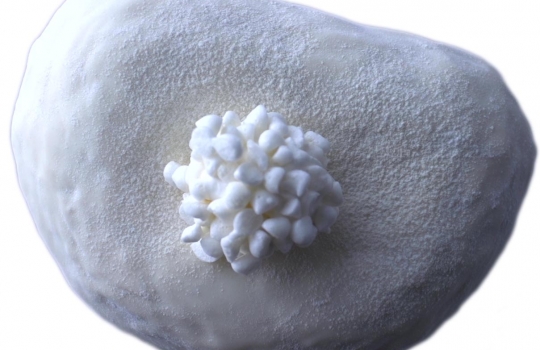 Galleria fotografica






Le prove generali








Prove del primo atto: al centro, il Bonsai di pica-pica


















Comincia la nostra esperienza: occhio all'indirizzo del centro Arts Santa Monica








Fuori staziona il van di Girona con tutto il nécessaire commestibile








Dentro, la targa coi ringraziamenti a tutti coloro che hanno lavorato al progetto








Per arrivare al set dell'opera si attraversa una mostra che proietta in oblò teaser coi motivi anticipatori di quel che troveremo dentro








Un altro teaser








Il set prima delle trasmissioni













Si parte








Una spirale ci introduce al viaggio








Al centro del tavolo, nascosto tra bonsai (un classico rochiano), pica-pica di bon bon rappresentativi di vari paesi: cevice peruviano, guacamole messicano, cous-cous marocchino...








Commensali spiazzati








Il sogno ha inizio: l'atto primo mette in tavola la Luna, sfere di tartufo bianco e nero con distillato terrestre








Intorno, un video di Franc Aleu, le musiche di Luca Francesconi e il tableware di Taller Luesma Vega








La luna








Atto secondo: lo spazio








Piatto dello spazio: aria di fichi di Cap de Creus








C'è un calice diverso per ogni atto: si passa dal cava agli champagne, dall'Armagnac ai Rioja a semplici gocce di distillati, versati anche sulla mano








Intorno, un altro splendido 3D di Franc Aleu, con le musiche di Sergi Caballero, Pedro Alcade








E' l'ofiuco, il tredicesimo segno zodiacale, tema del terzo atto













Atto quarto: Under the Sea, il set  diventa uno scenario sottomarino (vedi video 1)













E a tavola arriva una composizione golosissima di piatti di mare, servita in sculture di Pere Gifre e Dani Molina: vellutata di ricci grigliati, anemoni impanati, parmentier di octopus, marinata di frutti di mare e cirripedi













Tra un atto e l'altro, la voce calma di Josep Roca


















Atto Quinto, il Giardino delle Esperidi, dal sapore orientale: nel piatto, un fiore Mandala con limone, curry, bietole, mango, cocco, finocchio, yogurt, cannella, cardamomo, menta, zenzero, pepe, fiori, carciofi e agnello













Atto Sesto: il Corteggiamento













Motivi Yin Yang ovunque: nelle musiche di Albert Guinovart, nei video di Franc Aleu. E nel piatto dei Roca: Ostriche marinate in sherry Palo Cortado, salsa di ostriche, aglio bianco e nero








Ci si prepara ai fuochi d'artificio del settimo atto. I 12 camerieri si avvertono appena, se non quando illuminati dalle scenografie








Atto sette: i piatti sono creazioni ispirate ai fossili di Roos Van de Velde








Dopo la mela candita, tema dell'ottavo atto, l'opera assume i toni ancora più foschi nel nono, la Guerra: Royale d'oca con gocce di sangue di bietola. Le musiche di Wolfgang Mitterer e le immagini di Franc Aleu si fanno cruente (vedi video 2)








Atto Dieci: Misericordia/Morte








Spuma di patate viola, bon bon di gelato di genziana, midollo di vitello, rabarbaro con caviale e funghi trombette della morte. Attorno, fumi d'incenso di Artemisia








Dopo la Gloria (undicesimo atto, il piatto che respira del video 3) approdiamo rapidi alla chiusura del dodicesimo anno (il Risveglio della primavera)








Tutti vorrebbero ricominciasse








Amuse-bouche
Il Bonsai di pica-pica








Preludio
Brodo vegetale cotto in bassa temperatura con parole scritte








Atto 1 - Il Sogno comincia
La luna: sfere di tartufo bianco e nero con distillato di terra








Atto 2 - Lo spazio
Aria (essenza) di fichi di cactus di Cap de Creus








Atto 3 - Ofiuco
Serpente di anguilla affumicata








Atto 3 - Sotto il mare
Vellutata di ricci di mare grigliati








Atto 4 - Sotto il mare
Gamberi grigliati con teste di scampo








Atto 5 - Il Giardino delle Esperidi
 Fiore Mandala con limone, curry, bietole, mango, cocco, finocchio, yogurt, cannella, cardamomo, menta, zenzero, pepe, fiori, carciofi e agnello
 








Atto 6 - Il Corteggiamento
Ostriche marinate in sherry Palo Cortado, salsa di ostriche, aglio bianco e nero
 








Atto 7 - Carnalità
Salsa di mole, rose grigliate, sugo di piccione e petto di gallina su un piatto a forma di rosa con gocce di acqua di rose








Atto 8 - Devastazione/La Mela
Mela caramellata soffiata ripiena di spuma e dadini di mela grigliata e sobrassada








Atto 9 - Guerra
Royale d'oca con gocce di sangue di bietola
 








Atto 10 - Misericordia/Morte
Spuma di patate viola, bon bon di gelato di genziana, midollo di vitello, rabarbaro con caviale e funghi trombette della morte. Attorno, fumi d'incenso di Artemisia
 





