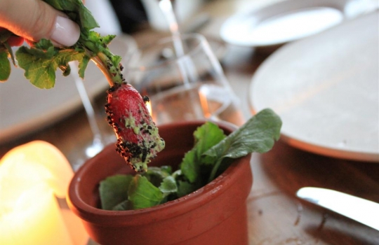 Galleria fotografica






In cammino verso il Noma. Il ristorante è al piano terra del palazzone più a sinistra. Per arrivarci dalla popolare insenatura di Nyhavn (il punto da cui è scattata la foto), occorre fare un bel giro. Ma si notano i lavori per la costruzione di un ponte. Che condurrà dritto all'insegna








Altra prospettiva sul Noma da Nyhavn. Il ristorante galleggia sulla Christianshavn, una delle tante isole artificiali che compongono Copenhagen








Di là del fiume, sulla lunga via che conduce allo spiazzo del Noma








Uno scenario molto tranquillo, di case pastello. Il silenzio è perché vanno tutti in bici













Al massimo si sente rombare qualche scafo








Il vascello davanti al Noma. Oltre a quella danese, sventolano le bandiere di Isole Far Oer e Groenlandia: le loro ambasciate sono nello stesso palazzo del ristorante. Coerenza nordica








Il retro del ristorante. L'80% delle 80 persone che lavorano al Noma viene a lavorare in bici, chef incluso








Dietro al ristorante, un'iscrizione ricorda i passeggeri scomparsi a bordo della danese Hans Hedtoft. Il transatlantico si scontrò il 30 gennaio 1959 contrò un iceberg in Groenlandia. Fu ritrovata solo una cintura di sicurezza
 








L'ingresso del ristorante, al civico 93 di Strandgade








La vista, ingresso alle spalle








Tra l'ingresso e la cucina a vista, spicca un corner di decoro simil-giapponese. A sinistra s'intravede Noma, time and place in Nordic Cuisine, edizioni Phaidon, un testo fondamentale per approfondire tutti i rivoli del Redzepi-mondo. La versione italiana si ordina qui








Una pianta di piccoli agrumi orla la cucina a vista








La porta d'ingresso vista dalla cucina








Le sedie, molto comode, sono anni Sessanta con schienali foderati di pelle di pecora, alcune più morbide di altre








I tavoli sono ampi e senza tovaglie. Attorno prevale il grigio e i colori rustici, sulle travi in legno del soffitto ma anche sulle divise dei ragazzi di sala








La finestra accanto al nostro tavolo








E' lo chef Rene Redzepi a introdurci al pasto: in un vaso di fiori danesi, l'unico pendaglio commestibile è una sorta di carta musica croccante (flatbread) di farina di malto all'aroma di ginepro. Nel piattino in basso, una deliziosa crème fraîche acida per intingerlo








Il flatbread è quello che svetta. "Ma se ci tenete, provate a mangiare anche i fiori", scherza Redzepi. Il cuoco scompare nelle segrete del Noma. Lo ritroveremo solo alla fine del pasto








Tutti i 14 appetizer si mangeranno con le mani. Unica posata, il coltello per tirar su e leccare la crème fraîche da sola (da fare quando tutti gli altri clienti son distratti, però)








Moss and Cep: Muschio di renna con polvere di funghi porcini. E' il corpo bianco, molto saporito ed evanescente, da intingere anch'esso nella crème fraîche
 








Crispy pork skin and black currant: Pelle di maiale croccante e ribes nero, lo strato più esterno. Aspro e croccante








Il ribes nero non ci lascerà prima di molto tempo








Blue mussels and celery: cozze e sedano. Solo due sono quelle buone








La parte inferiore del guscio è commestibile (ancora farina di malto)








Il quinto appetizer è nascosto in una deliziosa scatola di biscotti in latta della tradizione danese (chi non ricorda i Danish butter cookies?)








Cinque tondini, ma solo due "interessanti"








Si chiamano Cheese cookies, rocket and stems, letteralmente Biscotti al formaggio, ruchetta e gambi di erbe aromatiche, un felice snack potenzialmente riproducibile nei nord e nei sud del mondo








Appetizer #6: Potato and duck liver, Patate e fegato d'anatra: le patate croccanti sono in due strati e a mo' di sandwich racchiudono la mousse di fegato. La spolverata è di funghi trombette dei morti, disidratati e polverizzati, una tecnica che troveremo frequentemente








Dried carrot and sorrel, Carote grigliate a fuoco lento per 14 ore, disidratate e servite su polvere di fieno. Si intingono nell'emulsione di acetosella accanto. Un grande piatto perché di inattesa, energica acidità








Ottava entrée: Caramelized milk and cod liver, Biscotto di latte caramellato e fegato di merluzzo, quest'ultimo ghiacciato e pulito. Il secondo dona un aroma molto strong, che domina sul biscotto croccante. Per palati muscolari








Le uova dentro l'uovo








Pickled and smoked quails eggs, Uova di quaglia sbollentate, marinate e affumicate, un classico del Noma. Il tuorlo è completamente liquido








Col Veal fibres and söl, Filamenti di vitello e söl, decimo appetizer, entra in gioco per la prima volta un'alga di mare. E' il söl, appunto, dulse in inglese, Palmaria palmata nella tassonomia scientifica, un'alga rossa incastrata nei filamenti di vitello precedentemente tagliati sottili e poi fritti. Curioso l'impiatto a nido di ingredienti che alla fine incastrano terra e mare








Herb Toast and smoked cod roe, Toast alle erbe e uova di merluzzo affumicato, un'altra grandiosa tapa nordica da far su in due bocconi. Se non ricordiamo male, lo strato superiore è brodo di fegato d'anatra disidratato








Radish, soil and grass, Rapanello, "suolo" ed erba, un altro grande classico del Noma, un paesaggio commestibile di chiara genesi basca-adrianesca, molto replicato negli anni. Carote baby e rapanelli sono interrati in un "suolo" che è una crema di farina di malto con nocciole disidratate. Sotto ancora, uno yogurt di erbe. Finite le verdure, abbiamo chiesto dei cucchiaini per ripulire il suolo





