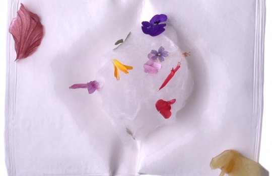 Galleria fotografica






Le prove generali








Prove del primo atto: al centro, il Bonsai di pica-pica


















Comincia la nostra esperienza: occhio all'indirizzo del centro Arts Santa Monica








Fuori staziona il van di Girona con tutto il nécessaire commestibile








Dentro, la targa coi ringraziamenti a tutti coloro che hanno lavorato al progetto








Per arrivare al set dell'opera si attraversa una mostra che proietta in oblò teaser coi motivi anticipatori di quel che troveremo dentro








Un altro teaser








Il set prima delle trasmissioni













Si parte








Una spirale ci introduce al viaggio








Al centro del tavolo, nascosto tra bonsai (un classico rochiano), pica-pica di bon bon rappresentativi di vari paesi: cevice peruviano, guacamole messicano, cous-cous marocchino...








Commensali spiazzati








Il sogno ha inizio: l'atto primo mette in tavola la Luna, sfere di tartufo bianco e nero con distillato terrestre








Intorno, un video di Franc Aleu, le musiche di Luca Francesconi e il tableware di Taller Luesma Vega








La luna








Atto secondo: lo spazio








Piatto dello spazio: aria di fichi di Cap de Creus








C'è un calice diverso per ogni atto: si passa dal cava agli champagne, dall'Armagnac ai Rioja a semplici gocce di distillati, versati anche sulla mano








Intorno, un altro splendido 3D di Franc Aleu, con le musiche di Sergi Caballero, Pedro Alcade








E' l'ofiuco, il tredicesimo segno zodiacale, tema del terzo atto













Atto quarto: Under the Sea, il set  diventa uno scenario sottomarino (vedi video 1)













E a tavola arriva una composizione golosissima di piatti di mare, servita in sculture di Pere Gifre e Dani Molina: vellutata di ricci grigliati, anemoni impanati, parmentier di octopus, marinata di frutti di mare e cirripedi













Tra un atto e l'altro, la voce calma di Josep Roca


















Atto Quinto, il Giardino delle Esperidi, dal sapore orientale: nel piatto, un fiore Mandala con limone, curry, bietole, mango, cocco, finocchio, yogurt, cannella, cardamomo, menta, zenzero, pepe, fiori, carciofi e agnello













Atto Sesto: il Corteggiamento













Motivi Yin Yang ovunque: nelle musiche di Albert Guinovart, nei video di Franc Aleu. E nel piatto dei Roca: Ostriche marinate in sherry Palo Cortado, salsa di ostriche, aglio bianco e nero








Ci si prepara ai fuochi d'artificio del settimo atto. I 12 camerieri si avvertono appena, se non quando illuminati dalle scenografie








Atto sette: i piatti sono creazioni ispirate ai fossili di Roos Van de Velde








Dopo la mela candita, tema dell'ottavo atto, l'opera assume i toni ancora più foschi nel nono, la Guerra: Royale d'oca con gocce di sangue di bietola. Le musiche di Wolfgang Mitterer e le immagini di Franc Aleu si fanno cruente (vedi video 2)








Atto Dieci: Misericordia/Morte








Spuma di patate viola, bon bon di gelato di genziana, midollo di vitello, rabarbaro con caviale e funghi trombette della morte. Attorno, fumi d'incenso di Artemisia








Dopo la Gloria (undicesimo atto, il piatto che respira del video 3) approdiamo rapidi alla chiusura del dodicesimo anno (il Risveglio della primavera)








Tutti vorrebbero ricominciasse








Amuse-bouche
Il Bonsai di pica-pica








Preludio
Brodo vegetale cotto in bassa temperatura con parole scritte








Atto 1 - Il Sogno comincia
La luna: sfere di tartufo bianco e nero con distillato di terra








Atto 2 - Lo spazio
Aria (essenza) di fichi di cactus di Cap de Creus








Atto 3 - Ofiuco
Serpente di anguilla affumicata








Atto 3 - Sotto il mare
Vellutata di ricci di mare grigliati








Atto 4 - Sotto il mare
Gamberi grigliati con teste di scampo








Atto 5 - Il Giardino delle Esperidi
 Fiore Mandala con limone, curry, bietole, mango, cocco, finocchio, yogurt, cannella, cardamomo, menta, zenzero, pepe, fiori, carciofi e agnello
 








Atto 6 - Il Corteggiamento
Ostriche marinate in sherry Palo Cortado, salsa di ostriche, aglio bianco e nero
 








Atto 7 - Carnalità
Salsa di mole, rose grigliate, sugo di piccione e petto di gallina su un piatto a forma di rosa con gocce di acqua di rose








Atto 8 - Devastazione/La Mela
Mela caramellata soffiata ripiena di spuma e dadini di mela grigliata e sobrassada








Atto 9 - Guerra
Royale d'oca con gocce di sangue di bietola
 








Atto 10 - Misericordia/Morte
Spuma di patate viola, bon bon di gelato di genziana, midollo di vitello, rabarbaro con caviale e funghi trombette della morte. Attorno, fumi d'incenso di Artemisia
 








Atto 11 - La Gloria
Piatto che respira: purea di cocco, gelato al lievito naturale, lychee freschi disidratati, cioccolato caramellato e meringhe acide





