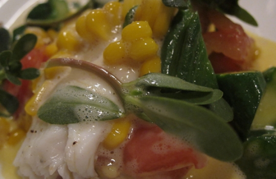 Galleria fotografica






Dietro alle quinte del Ratanà, telefono +39.02.87128855: Cesare Battisti e Giovanni Passerini prendono le misure tra loro, in una cucina che per il parigino è nuova. 








Alle 9 di sera tutti a tavola, si può incominciare a deliziarsi. Primo piatto ad arrivare in tavola i Ravioli di zucca, olio al mandarino, tartufi di mare e acetosella selvatica. La firma è di Giovanni Passerini.





