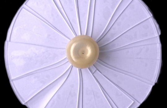 Galleria fotografica






Le prove generali








Prove del primo atto: al centro, il Bonsai di pica-pica


















Comincia la nostra esperienza: occhio all'indirizzo del centro Arts Santa Monica








Fuori staziona il van di Girona con tutto il nécessaire commestibile








Dentro, la targa coi ringraziamenti a tutti coloro che hanno lavorato al progetto








Per arrivare al set dell'opera si attraversa una mostra che proietta in oblò teaser coi motivi anticipatori di quel che troveremo dentro








Un altro teaser








Il set prima delle trasmissioni













Si parte








Una spirale ci introduce al viaggio








Al centro del tavolo, nascosto tra bonsai (un classico rochiano), pica-pica di bon bon rappresentativi di vari paesi: cevice peruviano, guacamole messicano, cous-cous marocchino...








Commensali spiazzati








Il sogno ha inizio: l'atto primo mette in tavola la Luna, sfere di tartufo bianco e nero con distillato terrestre








Intorno, un video di Franc Aleu, le musiche di Luca Francesconi e il tableware di Taller Luesma Vega








La luna








Atto secondo: lo spazio








Piatto dello spazio: aria di fichi di Cap de Creus








C'è un calice diverso per ogni atto: si passa dal cava agli champagne, dall'Armagnac ai Rioja a semplici gocce di distillati, versati anche sulla mano








Intorno, un altro splendido 3D di Franc Aleu, con le musiche di Sergi Caballero, Pedro Alcade








E' l'ofiuco, il tredicesimo segno zodiacale, tema del terzo atto













Atto quarto: Under the Sea, il set  diventa uno scenario sottomarino (vedi video 1)













E a tavola arriva una composizione golosissima di piatti di mare, servita in sculture di Pere Gifre e Dani Molina: vellutata di ricci grigliati, anemoni impanati, parmentier di octopus, marinata di frutti di mare e cirripedi













Tra un atto e l'altro, la voce calma di Josep Roca


















Atto Quinto, il Giardino delle Esperidi, dal sapore orientale: nel piatto, un fiore Mandala con limone, curry, bietole, mango, cocco, finocchio, yogurt, cannella, cardamomo, menta, zenzero, pepe, fiori, carciofi e agnello













Atto Sesto: il Corteggiamento













Motivi Yin Yang ovunque: nelle musiche di Albert Guinovart, nei video di Franc Aleu. E nel piatto dei Roca: Ostriche marinate in sherry Palo Cortado, salsa di ostriche, aglio bianco e nero








Ci si prepara ai fuochi d'artificio del settimo atto. I 12 camerieri si avvertono appena, se non quando illuminati dalle scenografie








Atto sette: i piatti sono creazioni ispirate ai fossili di Roos Van de Velde








Dopo la mela candita, tema dell'ottavo atto, l'opera assume i toni ancora più foschi nel nono, la Guerra: Royale d'oca con gocce di sangue di bietola. Le musiche di Wolfgang Mitterer e le immagini di Franc Aleu si fanno cruente (vedi video 2)








Atto Dieci: Misericordia/Morte








Spuma di patate viola, bon bon di gelato di genziana, midollo di vitello, rabarbaro con caviale e funghi trombette della morte. Attorno, fumi d'incenso di Artemisia








Dopo la Gloria (undicesimo atto, il piatto che respira del video 3) approdiamo rapidi alla chiusura del dodicesimo anno (il Risveglio della primavera)








Tutti vorrebbero ricominciasse








Amuse-bouche
Il Bonsai di pica-pica








Preludio
Brodo vegetale cotto in bassa temperatura con parole scritte








Atto 1 - Il Sogno comincia
La luna: sfere di tartufo bianco e nero con distillato di terra








Atto 2 - Lo spazio
Aria (essenza) di fichi di cactus di Cap de Creus








Atto 3 - Ofiuco
Serpente di anguilla affumicata








Atto 3 - Sotto il mare
Vellutata di ricci di mare grigliati








Atto 4 - Sotto il mare
Gamberi grigliati con teste di scampo








Atto 5 - Il Giardino delle Esperidi
 Fiore Mandala con limone, curry, bietole, mango, cocco, finocchio, yogurt, cannella, cardamomo, menta, zenzero, pepe, fiori, carciofi e agnello
 








Atto 6 - Il Corteggiamento
Ostriche marinate in sherry Palo Cortado, salsa di ostriche, aglio bianco e nero
 








Atto 7 - Carnalità
Salsa di mole, rose grigliate, sugo di piccione e petto di gallina su un piatto a forma di rosa con gocce di acqua di rose





