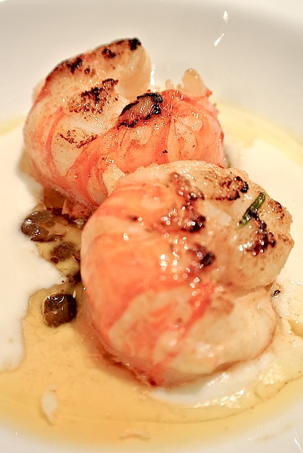 Galleria fotografica





















Schegge di Grana Padano, fettine di prosciutto crudi e Ferrari Maximum Brut come aperitivo a Stelle di Stelle


















Acciughe del Cantabrico, salsa tonnata e nocciole del Piemonte










