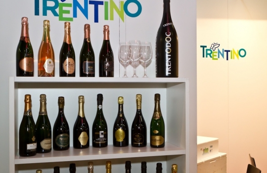 Galleria fotografica