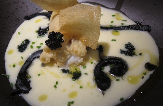 Galleria fotograficaInverno ad Andria, venerd&igrave; 2 dicembre 2011 all'ora di pranzo all'ingresso del ristorante UmamiIl cestino del pane al ristorante Umami di AndriaSua maest&agrave; il Gambero rosso di Gallipoli interpretato da Felice Sgarra con la sua bisque, crema di ricotta, puntarelle, cicoria e rucola, mele renette e una grattata finale di Tartufo Bianco di Alba