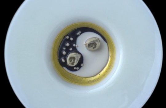 Galleria fotografica






Le prove generali








Prove del primo atto: al centro, il Bonsai di pica-pica


















Comincia la nostra esperienza: occhio all'indirizzo del centro Arts Santa Monica








Fuori staziona il van di Girona con tutto il nécessaire commestibile








Dentro, la targa coi ringraziamenti a tutti coloro che hanno lavorato al progetto








Per arrivare al set dell'opera si attraversa una mostra che proietta in oblò teaser coi motivi anticipatori di quel che troveremo dentro








Un altro teaser








Il set prima delle trasmissioni













Si parte








Una spirale ci introduce al viaggio








Al centro del tavolo, nascosto tra bonsai (un classico rochiano), pica-pica di bon bon rappresentativi di vari paesi: cevice peruviano, guacamole messicano, cous-cous marocchino...








Commensali spiazzati








Il sogno ha inizio: l'atto primo mette in tavola la Luna, sfere di tartufo bianco e nero con distillato terrestre








Intorno, un video di Franc Aleu, le musiche di Luca Francesconi e il tableware di Taller Luesma Vega








La luna








Atto secondo: lo spazio








Piatto dello spazio: aria di fichi di Cap de Creus








C'è un calice diverso per ogni atto: si passa dal cava agli champagne, dall'Armagnac ai Rioja a semplici gocce di distillati, versati anche sulla mano








Intorno, un altro splendido 3D di Franc Aleu, con le musiche di Sergi Caballero, Pedro Alcade








E' l'ofiuco, il tredicesimo segno zodiacale, tema del terzo atto













Atto quarto: Under the Sea, il set  diventa uno scenario sottomarino (vedi video 1)













E a tavola arriva una composizione golosissima di piatti di mare, servita in sculture di Pere Gifre e Dani Molina: vellutata di ricci grigliati, anemoni impanati, parmentier di octopus, marinata di frutti di mare e cirripedi













Tra un atto e l'altro, la voce calma di Josep Roca


















Atto Quinto, il Giardino delle Esperidi, dal sapore orientale: nel piatto, un fiore Mandala con limone, curry, bietole, mango, cocco, finocchio, yogurt, cannella, cardamomo, menta, zenzero, pepe, fiori, carciofi e agnello













Atto Sesto: il Corteggiamento













Motivi Yin Yang ovunque: nelle musiche di Albert Guinovart, nei video di Franc Aleu. E nel piatto dei Roca: Ostriche marinate in sherry Palo Cortado, salsa di ostriche, aglio bianco e nero








Ci si prepara ai fuochi d'artificio del settimo atto. I 12 camerieri si avvertono appena, se non quando illuminati dalle scenografie








Atto sette: i piatti sono creazioni ispirate ai fossili di Roos Van de Velde








Dopo la mela candita, tema dell'ottavo atto, l'opera assume i toni ancora più foschi nel nono, la Guerra: Royale d'oca con gocce di sangue di bietola. Le musiche di Wolfgang Mitterer e le immagini di Franc Aleu si fanno cruente (vedi video 2)








Atto Dieci: Misericordia/Morte








Spuma di patate viola, bon bon di gelato di genziana, midollo di vitello, rabarbaro con caviale e funghi trombette della morte. Attorno, fumi d'incenso di Artemisia








Dopo la Gloria (undicesimo atto, il piatto che respira del video 3) approdiamo rapidi alla chiusura del dodicesimo anno (il Risveglio della primavera)








Tutti vorrebbero ricominciasse








Amuse-bouche
Il Bonsai di pica-pica








Preludio
Brodo vegetale cotto in bassa temperatura con parole scritte








Atto 1 - Il Sogno comincia
La luna: sfere di tartufo bianco e nero con distillato di terra








Atto 2 - Lo spazio
Aria (essenza) di fichi di cactus di Cap de Creus








Atto 3 - Ofiuco
Serpente di anguilla affumicata








Atto 3 - Sotto il mare
Vellutata di ricci di mare grigliati








Atto 4 - Sotto il mare
Gamberi grigliati con teste di scampo








Atto 5 - Il Giardino delle Esperidi
 Fiore Mandala con limone, curry, bietole, mango, cocco, finocchio, yogurt, cannella, cardamomo, menta, zenzero, pepe, fiori, carciofi e agnello
 





