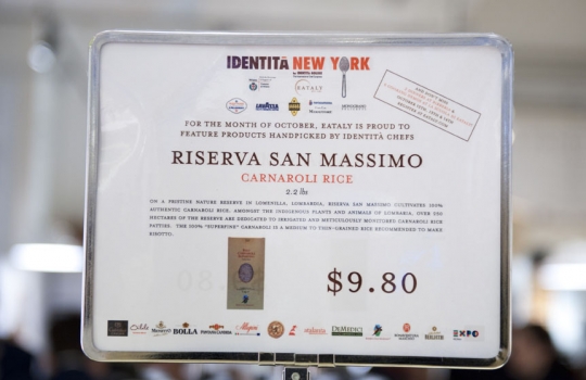 Galleria fotografica













