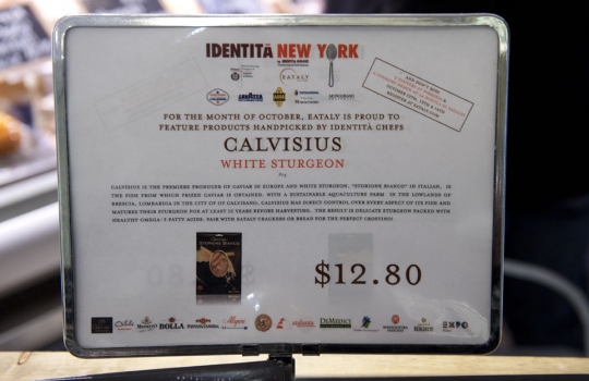 Galleria fotografica


















