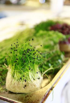 Galleria fotografica






L'assessore comunale Franco D'Alfonso, il curatore di Identità Golose Paolo Marchi, Viviana Varese di Alice e Alfredo Zini di Confcommercio e dei Ristoratori milanesi








Viviana Varese, ristorante Alice, al mercato Zara








Cristina Aromando, Aromando Bistrot, mercato Fusina








Mercato Ferrara: Massimo Masuelli dell’omonima trattoria storica di viale Umbria








Maurizio Di Prima di Nassa Osteria, mercato Rombon








 Mercato Morsenchio, Tronconi e Traversone, Trattoria del Nuovo Macello e Cucina dei Frigoriferi Milanesi








Giuseppe Zen, Mangiari di strada


















La Lanzarda di Maurizio Di Prima, chef di Nassa Osteria, sabato al mercato Rombon








Riccardo Orfino di Ladybu con Pedol, storico pescivendolo di Wagner













































