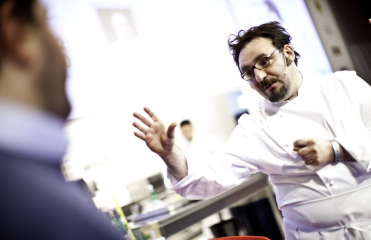 Galleria fotograficaDa sinistra, Massimiliano Alajmo delle Calandre di Rubano (Padova), Corrado Assenza&nbsp;del Caff&egrave; Sicilia di Noto (Siracusa) e Aimo Moroni del Luogo di Aimo e Nadia a MilanoUn sorridente Moreno Cedroni, cuoco della Madonnina del Pescatore di Senigallia (Ancona)A sinistra Paolo Marchi, a destra Claudio Ceroni. I due vertici di Identit&agrave; GoloseRoberto Restelli, a lungo curatore dell'edizione italiana della Guida MichelinLuciana Bianchi, giornalista italo-brasilianaGiuliano Baldessari, sous chef delle Calandre di Rubano,&nbsp;Padova; Alfredo Pratolongo, direttore comunicazione e affari istituzionali Heineken Italia e Paolo MarchiRodrigo Oliveira, cuoco paulista del Mocot&ograve;Pausa caff&egrave; allo spazio LavazzaDa sinistra, il giornalista Stefano Vegliani, il cuoco Carlo Cracco e il suop sous chef Matteo BaronettoMassimo Bottura dell'Osteria Francescana di Modena e Matteo Baronetto del ristorante Cracco di MilanoIl giornalista Gabriele Zanatta con Riccardo Monco e Italo Bassi, chef dell'Enoteca Pinchiorri di FirenzeRoberto ed Enrico (Bobo e Chicco) Cerea del ristorante Da Vittorio di Brusaporto (Bergamo)Alessandra Rotondi, sommelier romana di stanza a New YorkMatteo e Camilla Lunelli di Cantine Ferrari premiano i fratelli CereaGiulia Corradetti di Identit&agrave; Golose e Davide Scabin, chef del Combal.Zero di Rivoli, TorinoPremiati Oleifici Barbera premia Missy Robbins, cuoca americana di A Voce a New York. A destra, Paolo MarchiIl giornalista Andrea PetriniRosita Dassisti e Claudio Ceroni&nbsp;di Magenta Bureau