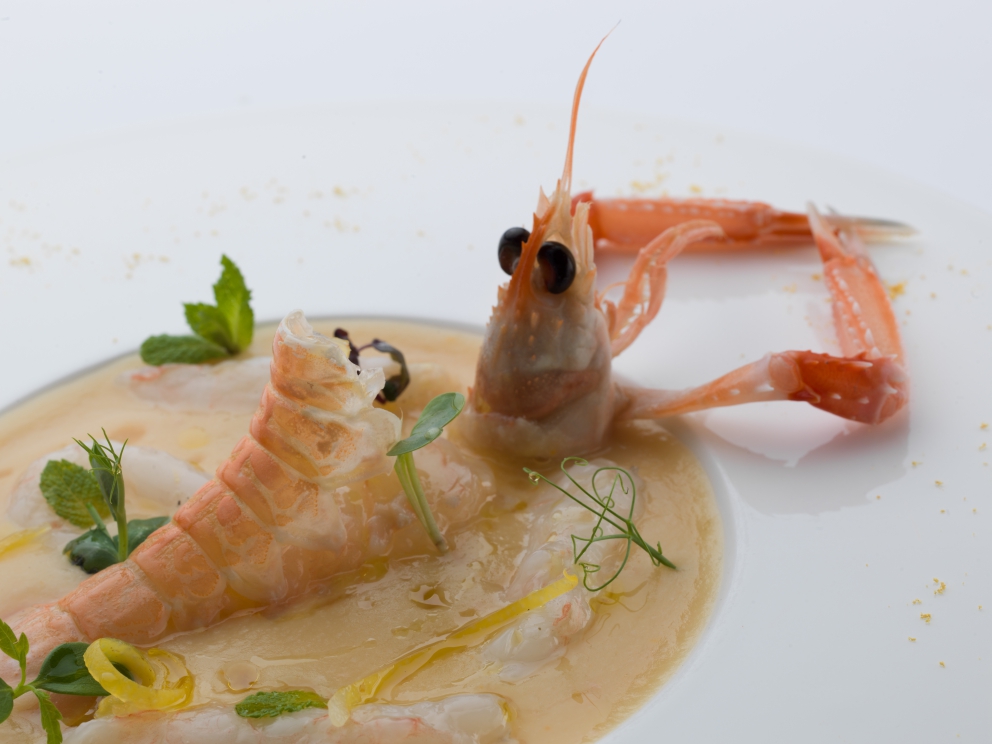 Photogallery






Gianni Dezio, Tosto, Atri (Teramo)

Tortelli with artichokes, fondue of pecorino from Atri, mint and liquorice. Liquorice and mint unite so as to enhance one of the most important vegetables in Italian cuisine









Valerio Centofanti, L'Angolo d'Abruzzo, Carsoli (L'Aquila)

Pappardelle with gelded lamb with pecorino from Alta Valle del Turano. The lamb is gelded before it is two months’ old and raised for 18 months. A dish full of emotions and sensations that has disappeared from Italian kitchens (in the picture, the gelded lamb)









Niko Romito, Reale Casadonna, Castel di Sangro (L'Aquila)

Because it’s the proof that constant research in the kitchen (in this case applied to cutting and macerating cabbage) can pull down the "wall" of vegetal representation and give new and powerful solutions in terms of structure and taste. Creating surprise and deep emotion. For me, it represents a new phase









Mattia Spadone, La Bandiera, Civitella Casanova (Pescara)

Vegetables cooked in salt. I worked on cooking in salt only using vegetables (from our kitchen garden). It may seem banal but I’ve been working on this for over 3 months: these are roots and leaves presented in different textures, crispy, mashed and thinly diced









Patrizia Corradetti, Zenobi, Colonnella (Teramo)

Meat and spinach ravioli with Neapolitan genovese sauce. I needed to include in the mid-August menu a first course with filled pasta that would still be traditional









Nadia Moscardi, Elodia nel Parco, L'Aquila

Textures of pasta and vegetable garden. It is inspired by Le Virtù, an ancient soup from Abruzzo that was made by the bride for the future mother-in-law to prove her virtues in the kitchen










William Zonfa, Magione Papale, L'Aquila

Castratissimo. Gelded meat is very popular in Abruzzo. The sauce you see is a dehydrated “veil of gelded meat sauce”, wrapping the soft meat. Upon contact with the heat and humidity of the meat, it is rehydrated and gives life to the memory of meat chops coming out from the sauce itself









Cinzia Mancini, Bottega Culinaria Biologica, San Vito Chietino (Chieti)

Pescatrice noir. My territory and the elements defining it: sun, rocks, sea, wind and fire









Stefania Di Pasquo, Locanda Mammì, Agnone (Isernia)

Raspberry mousse with caramelised white chocolate and hazelnuts. It’s a non-sweet sweet, a dessert that represents a change from the classic desserts I have in the menu. It represents my current desire for change






