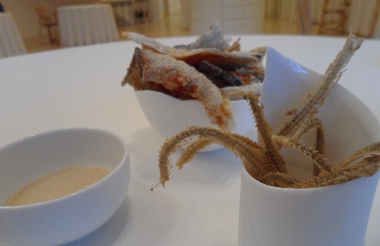 Galleria fotograficaQuello che vedete &egrave; un piatto di pura felicit&agrave;. Una sintesi suprema di minimalismo e complessit&agrave;, profondit&agrave; e nitore. Tomates en salsa, hierbas arom&aacute;ticas y fondo de alcaparras: dunque solo natura, ma che deflagra tra le fauci, assale le papille gustative e sembra lo sciabordio d&rsquo;onde contro lo scoglio, per&ograve; a percuotervi ed avvilupparvi ci pensano deliziosi umori vegetali. Vedete, si tratta di semplici pomodorini, &laquo;sono andato in un orto botanico incredibile, nel centro della Spagna. Ho assaggiato quaranta variet&agrave; di pomodori, un&rsquo;esperienza fantastica&raquo;, spiega lo chef. Al loro interno vengono siringati vari infusi a base di basilico e altre erbe, differenti l&rsquo;uno dall&rsquo;altro, il tutto si adagia su un fondo di consomm&eacute; di capperi. E&rsquo; un piatto-gioco, didascalico, splendido e spettacolare: ogni boccone rivela note diverse, qualcuno spiazza con una leggera affumicatura della polpa, ma ognuno vanta un&rsquo;incredibile potenza aromatica. &laquo;Il miglior piatto di pomodori che abbia mai mangiato&raquo;, secondo Joan Roca, tre stelle Michelin a Girona: c&rsquo;&egrave; la sorpresa delle molteplici declinazioni di sapore (&laquo;Di cosa sa questo?&raquo;, diventa una divertente caccia al gusto), s&rsquo;alternano successivi gradi di dolcezza e acidit&agrave;, fum&eacute; e speziato... E poi le consistenze, lo shot brodoso-sapido, appena tiepido, che scoppia in bocca quando il dente squarcia la tenera superficie polposa... Scoperta assoluta.L&rsquo;autore del piatto appena descritto &egrave; l&rsquo;uomo (uomo o ragazzo? In fondo &egrave; un classe 1978...) che vedete nella foto. Di lui si &egrave; detto: &laquo;Ci troviamo, lo ripetiamo per l&rsquo;ennesima volta, davanti a un GENIO. Ci&ograve; &egrave;, al disopra di qualsiasi altra considerazione, Josean Mart&iacute;nez Alija&raquo;. Ecco, condividiamo totalmente queste parole che il grande critico gastronomico spagnolo Rafael Garc&iacute;a Santos, creatore de Lo mejor de la gastronomia, rivolge nei suoi confronti. Assaggiare i piatti di Alija &egrave; un&rsquo;esperienza folgorante anche per il gourmet pi&ugrave; disincantato. Paul Bocuse: &laquo;Una delle migliori cucine della mia vita&raquo;.Alija ha da poco pi&ugrave; di tre mesi aperto il suo nuovo ristorante, Nerua, che si trova come il precedente all&rsquo;interno dell&rsquo;affascinante complesso disegnato dall&rsquo;archistar statunitense Frank O. Gehry per ospitare le collezioni del Guggenheim, a Bilbao. Lo chef &egrave; nelle cucina del museo fin dalla sua apertura, nel 1997, quando era appena maggiorenne; poco dopo primo responsabile (scelto da Martin Berasategui...). &laquo;Nerua &egrave; il culmine di tredici anni di lavoro durante i quali il ristorante del museo &egrave; stato un punto di riferimento gastronomico per i nostri visitatori. Il piacere estetico dell'edificio si sposta ora in questo nuovo spazio d&rsquo;avanguardia&raquo;, ha commentato Juan Ignacio Vidarte, direttore generale del Guggenheim. Nerua si trova accanto alla sala che ospita The Matter of Time, imponente installazione di Richard Serra, ma ha un ingresso indipendente dalla strada.Il nome Nerua &egrave; un gioco di suoni e parole. Il fiume che scorre a fianco del Guggenheim, a due passi dal ristorante, &egrave; il Nervi&oacute;n, l&rsquo;antico Nerva latino. La lingua euskadi, per&ograve;, non contempla la &ldquo;v&rdquo;, mentre quella latina classica utilizzava la &ldquo;v&rdquo; sia per indicare il relativo suono consonantico che quello vocalico &ldquo;u&rdquo;. Cos&igrave; &ldquo;Nerua&rdquo; &egrave;, nello stesso tempo, termine d&rsquo;echi prettamente baschi (l&rsquo;identit&agrave;), che designa il fiume (il territorio) e rimanda alla storia (la tradizione). Il tutto, per designare una cucina che va a braccetto col futuro.&laquo;Il peggio che pu&ograve; capitare ad un genio &egrave; di essere compreso&raquo;, ironizzava Ennio Flaiano. Su tale base non dovrebbe destar sorpresa - eppure rimaniamo ugualmente attoniti e dubbiosi - apprendere che Nerua non meriti nemmeno una stella, secondo gli immarcescibili ispettori della guida Michelin. Un altro punto di riferimento gastronomico, agli antipodi rispetto al suddetto, quello dei 50Best 2011, non colloca Alija neppure tra i primi cento chef del mondo. Perdona loro, perch&eacute; non sanno quello che fanno (Vangelo di Luca 23,34). P.s.: Identit&agrave; Golose ha premiato Alija come miglior chef straniero fin dal 2009...In una terra ad altissimo concentrato di mostri sacri, da Arzak&nbsp;(nella foto Juan Mari con la figlia Elena) a Subijana, da Aduriz al Berasategui gi&agrave; citato, Josean Mart&iacute;nez Alija - nato a L&eacute;on ma di formazione a sua volta basca - rifugge dalle influenze esterne, non si intruppa, evita i filoni consolidati cos&igrave; come quelli d&rsquo;avanguardia &agrave; la page, va dritto filato per la sua strada senza curarsi degli illustri colleghi suoi vicini. Parrebbe presunzione da enfant prodige, quale lui &egrave; stato fin dall&rsquo;inizio; invece &egrave; totale coerenza e radicalit&agrave;, persino professione d&rsquo;umilt&agrave;, perch&eacute; cos&igrave; si costringe a pedalare duro con le sole proprie gambe e a rimandare, come abbiamo visto, il tempo degli allori pi&ugrave; facili. &laquo;Il genio &egrave; nonconformismo&raquo;, Vladimir Nabokov.&nbsp;La sala del ristorante vanta un design pulito e minimalista, ad imitazione dello stile della cucina, come vedremo. Vi si accede superando l'ingresso principale che si trova vicino al fiume,&nbsp;dopo essere saliti per una scala in pietra; ci si trova nel corridoio col soffitto di titanio, nel quale una parete-cantina di vetro e metallo, trasparente, con le bottiglie in bella vista nelle intercapedini a temperatura controllata, separa dalla zona dei tavoli. Questi sono ricoperti con una tovaglia bianca, solo successivamente vi vengono via via aggiunti tutti gli altri elementi.La cucina si presenta, poco dopo l&rsquo;ingresso, sulla sinistra, completamente aperta e a vista, con spazi differenti a seconda delle temperature di lavoro. Qui Alija accoglie con gentilezza il commensale, prima che inizi la sfilata dei piatti. Tutto l'interno assume le connotazioni di uno spazio&nbsp;neutrale in cui cucina e sala da pranzo si fondono armoniosamente, l&rsquo;una estensione e &ldquo;interpretazione&rdquo; dell&rsquo;altra. Per ottenere tale fusione sono stati utilizzati gli stessi materiali e colori, legno di acero e lamina laccata. &laquo;Era ora, il momento giusto per tuffarsi in una nuova dimensione&raquo;, sussurra Josean.Il primo piatto che vi abbiamo presentato, Tomates en salsa, &egrave; gi&agrave; una sintesi efficace dello stile di Alija. Cos&igrave; come quest&rsquo;altro in foto: Hebras de berenjena asada, &ldquo;makil goxo&rdquo; y yogur de aceite de olivos milenarios, ormai un suo classico. Traduzione: fibre di melanzana, arrostite, vengono ricomposte in una superficie viola e luminosa, con liquirizia (&ldquo;makil goxo&rdquo;) e accompagnate da yogurt d&rsquo;olio d&rsquo;oliva proveniente da olivi millenari (l&rsquo;oliva &egrave; della variet&agrave; Farga). Combinazione indimenticabile, totale rispetto dei sapori, equilibrio perfetto: c&rsquo;&egrave; tutto Alija, nei suoi princ&igrave;pi di fondo. Che sono: innanzi tutto il minimalismo, l&rsquo;essenzialit&agrave;, pochi abbinamenti per avere esiti insieme netti e sfumati, d&rsquo;inarrivabile eleganza; poi la naturaleza (con una &ldquo;z&rdquo; sola, alla spagnola), la passione per le verdure, il lavoro anche sul singolo prodotto vegetale che assume per&ograve; aspetti visivi-tattili-gustativi diversi in funzione degli svariati trattamenti tecnici cui Alija lo sottopone, padroneggiandoli perfettamente. Siamo di fronte a uno chef che plasma la natura, sorta di demiurgo contemporaneo. Pochissimi (Dacosta, i Roca, per rimanere in Spagna...) ci hanno regalato in questi ultimi tempi simili sensazioni.Lo stesso dicasi per quest&rsquo;altra preparazione, di sconcertante immediatezza gustativa: Cebolla blanca "dulce", fondo de bacalao y pimiento verde. C&rsquo;&egrave; gioco visivo: il bulbo &egrave; racchiuso dalla pelle del baccal&agrave;, si offre cos&igrave; l&rsquo;impressione che sia un trancio di quest&rsquo;ultimo: poi le note del fondo di merluzzo alimentano lo stesso corto circuito, costruendo definitivamente l&rsquo;equivoco (verdura o pesce?). Ma &egrave; un calambour visivo e olfattivo che viene subito svelato in bocca, spazzando via ogni finzione e raggelando con la propria radicalit&agrave;: non c&rsquo;&egrave; menzogna, &egrave; pura cipolla bianca. Un rischioso lusso della semplicit&agrave;, piatto borderline che sa colpire mente e cuore. Ecco, anche in un frangente cos&igrave; estremo risuonano le parole con le quali Alija stesso definisce il proprio lavoro: &laquo;Una propuesta gastron&oacute;mica de vanguardia, pero con mucho sentimiento, con mucho coraz&oacute;n&raquo;. Traduzione superflua.