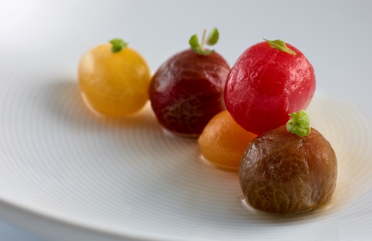 Galleria fotografica