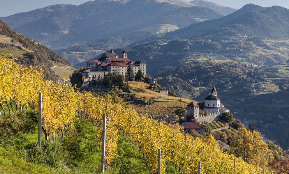 I vini dell'Alto Adige guardano in alto: «Salire di quota contro i cambiamenti climatici»