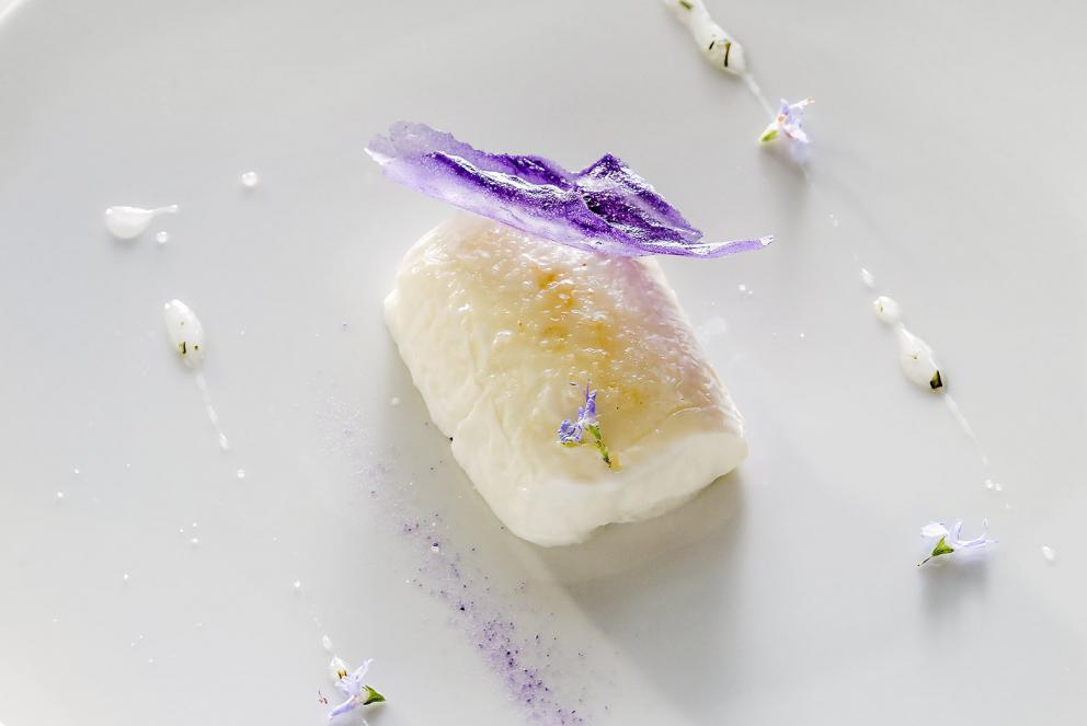 Photogallery






Our dinner at  Villa Feltrinelli, starting from the appetizers. Here Datterino all'arrabbiata (photo by Lido Vannucchi)









Cauliflower gravel (photo by Lido Vannucchi)









Vegetal toast (photo by Lido Vannucchi)









Ravioli with beetroot, salmon and lime (photo by Lido Vannucchi)









Zabaglione and dried sturgeon biscuit (photo by Lido Vannucchi)









Gazpacho with cherries and scampi (photo by Massimo Loda): scampi tails marinated with citrus zest, vegetable crudité and cherry gazpacho









Carpaccio with dehydrated watermelon, ovuli, Parmigiano, lettuce leaves and lettuce cream 









Tutto pomodoro (photo by Massimo Loda)









Tiramisù di porcini (photo by Vincenzo Matteo Lonati), this dish is three years old but is already a classic. It has savoiardi soaked in porcini water, salted mascarpone, cocoa powder and porcini









Raviolo "al verde" (photo by Lido Vannucchi), an extraordinary dish: pasta with chlorophyll filled with wild herbs and goat cheese, seasonal vegetables (blanched chards, asparagus, roasted friggitello) and crushed basil. Incredible vegetal echoes in a rich and elegant first course









Risotto al "corallo": Carnaroli creamed with butter and lobster coral, salmon roe, powdered lobster coral and prawn legs, grapefruit juice. «I was already making butter with lobster coral in the days at Pinchiorri»









Rabbit kidney, taggiasche olives, broth of cod in the style of Ancona, a dish that Baiocco dedicates to his homeland









Barba di rombo: the fattest part of the turbot is roasted and glazed with diavola sauce. It’s paired with a cream of whole wheat bread cooked in vinegar, plus sour cream, shallot, mozzarella water and Sirk vinegar. A fantastic dish









Agnello Dorset Crown: Dorset Crown lamb fillet slowly cooked with oil, butter and herbs, cream of almonds, caper flowers and jus of roasted peppers aromatized with cardamom. Another unforgettable dish, lamb reinvented with an eastern charm









...una semplice Insalata






