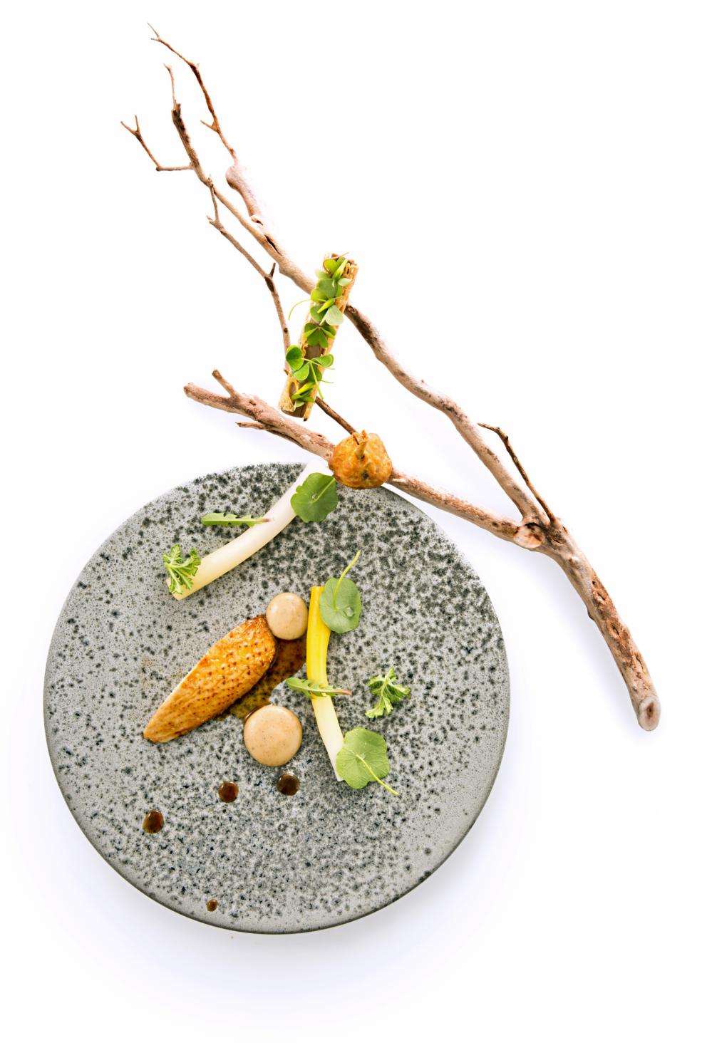 Galleria fotografica






Filetto di cinghiale con fave, pecorino e mele caramellate al vino rosso
Manuel Bentivoglio – chef dell’Agriturismo Roccamaia a Pievebovigliana (Macerata) 









Pancia di Capretto, Cicala di mare "gonfiata" al Bergamotto, Cilantro, Lampascione e Mosto Cotto di Fichi
Vincenzo Dinatale – sous chef al Ristorante Il Pellicano dell’Hotel Il Pellicano a Porto Ercole (Grosseto) 









Sud Europa - Carrè di agnello farcito con ventresca di tonno rosso sott'olio e cedro calabrese candito
Carmelo Fiore – sous chef presso Il Luogo di Aimo e Nadia a Milano 









Gambero carabiniere, animelle glassate, croccante alle alghe con insalatina aromatica
Edoardo Fumagalli – chef de La Locanda del Notaio a Pellio Intelvi (Como) 









Nervetto di vitello marinato e grigliato, radice amara e ristretto di "Go"
Daniele Groppo – chef de partie al Ristorante Terrazza Danieli dell’Hotel Danieli a Venezia 









Vantablack Cube, lingua soppressata e tamarindo
Alberto Lazzoni – chef de partie al ristorante Lux Lucis dell’Hotel Principe a Forte dei Marmi (Lucca) 









Pigeon 3000 km
Luca Natalini  – chef della Taverna di Bacco a Nettuno (Roma) 









Piccione brasato e insalata - Incontro tra un salmì e un dolceforte
Alessandro Salvatore Rapisarda – chef presso Di Gusto a Macerata









Lamb..Rusco Pop Corn & Barbabietola
Antonio Sena – sous chef del ristorante Vun del Park Hyatt a Milano 






