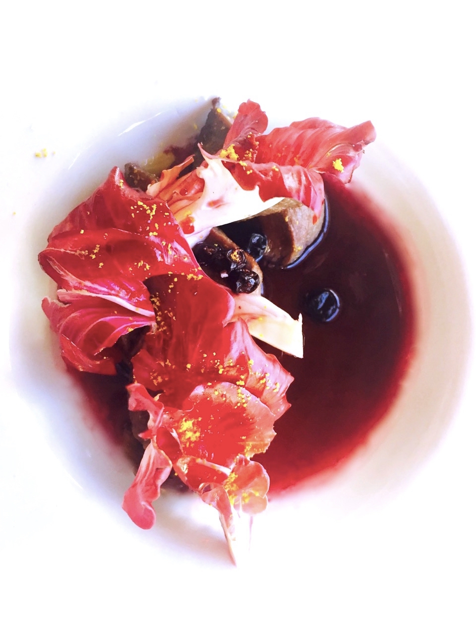 Galleria fotografica



