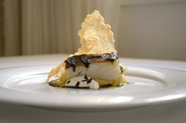 Galleria fotografica



