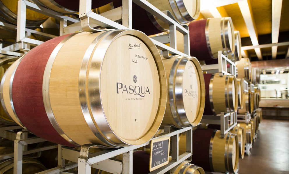 Ecco la Valpolicella del futuro secondo Riccardo Pasqua di Pasqua Vigneti e Cantine