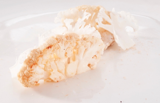 Galleria fotografica






Ricordi di Franco Aliberti dell'Osteria Francescana di Modena: Krapfen alla camomilla con biscotto caramello e caffè. «Morbido come un cuscino da abbracciare», ha spiegato il cuoco








Merluzzo con rafano freddo, mele e cetriolo marinato, un piatto scandinavo estivo di grande freschezza e note leggere firmato da Daniel Berlin, cuoco del Krog i Skåne a Tranås in Svezia





