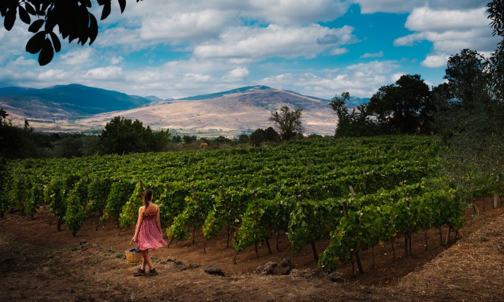 L'Etna dei vini: un incredibile mosaico naturale