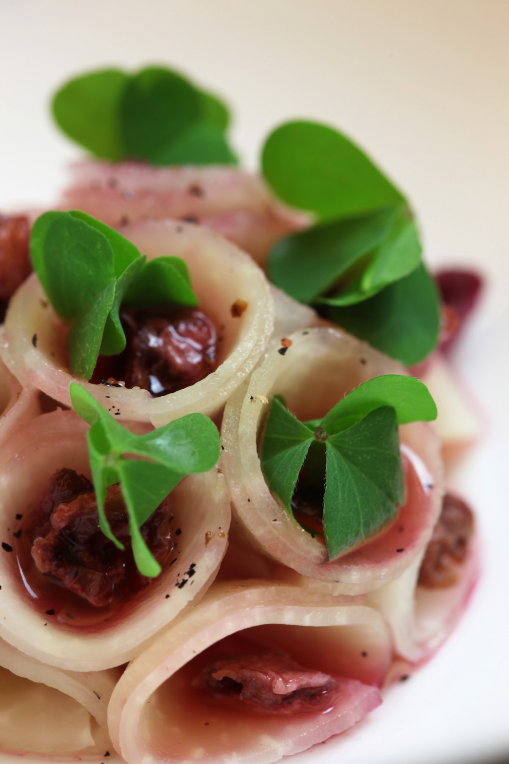 Galleria fotografica






Alcune immagini della straordinaria cena preparata da Jock Zonfrillo al Bulgari di Milano. Qui due appetizer, Gambero rosso e prugne di Davidson e Nuvole di canguro






