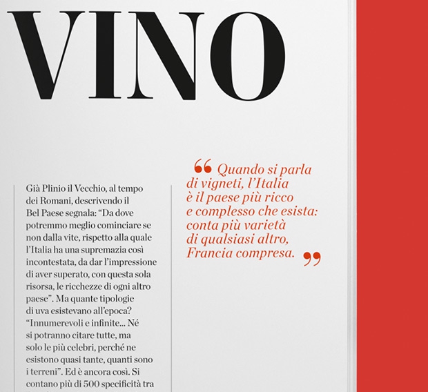 Galleria fotografica











































