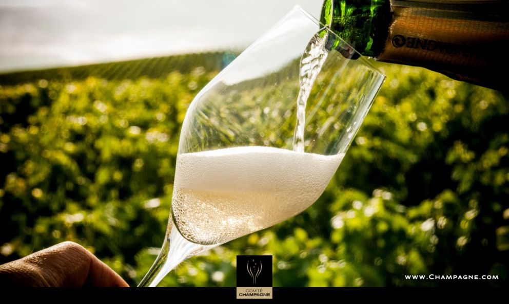 Virtual trip to Champagne: family prestige 