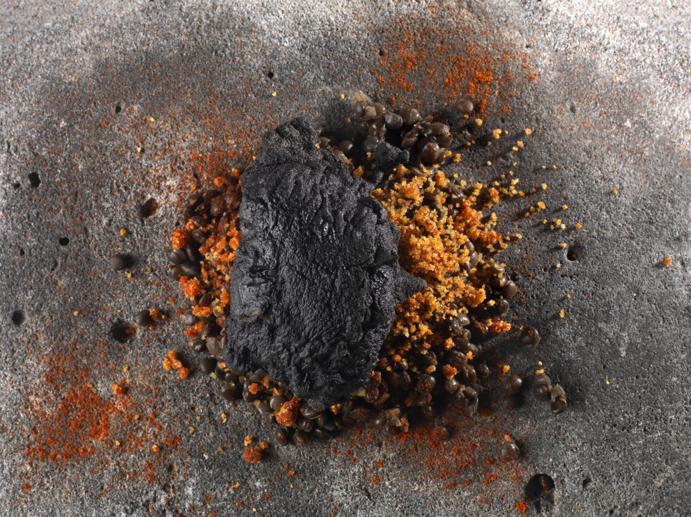 Photogallery






Gianni Dezio, Tosto, Atri (Teramo)

Tortelli with artichokes, fondue of pecorino from Atri, mint and liquorice. Liquorice and mint unite so as to enhance one of the most important vegetables in Italian cuisine









Valerio Centofanti, L'Angolo d'Abruzzo, Carsoli (L'Aquila)

Pappardelle with gelded lamb with pecorino from Alta Valle del Turano. The lamb is gelded before it is two months’ old and raised for 18 months. A dish full of emotions and sensations that has disappeared from Italian kitchens (in the picture, the gelded lamb)









Niko Romito, Reale Casadonna, Castel di Sangro (L'Aquila)

Because it’s the proof that constant research in the kitchen (in this case applied to cutting and macerating cabbage) can pull down the "wall" of vegetal representation and give new and powerful solutions in terms of structure and taste. Creating surprise and deep emotion. For me, it represents a new phase









Mattia Spadone, La Bandiera, Civitella Casanova (Pescara)

Vegetables cooked in salt. I worked on cooking in salt only using vegetables (from our kitchen garden). It may seem banal but I’ve been working on this for over 3 months: these are roots and leaves presented in different textures, crispy, mashed and thinly diced









Patrizia Corradetti, Zenobi, Colonnella (Teramo)

Meat and spinach ravioli with Neapolitan genovese sauce. I needed to include in the mid-August menu a first course with filled pasta that would still be traditional









Nadia Moscardi, Elodia nel Parco, L'Aquila

Textures of pasta and vegetable garden. It is inspired by Le Virtù, an ancient soup from Abruzzo that was made by the bride for the future mother-in-law to prove her virtues in the kitchen










William Zonfa, Magione Papale, L'Aquila

Castratissimo. Gelded meat is very popular in Abruzzo. The sauce you see is a dehydrated “veil of gelded meat sauce”, wrapping the soft meat. Upon contact with the heat and humidity of the meat, it is rehydrated and gives life to the memory of meat chops coming out from the sauce itself






