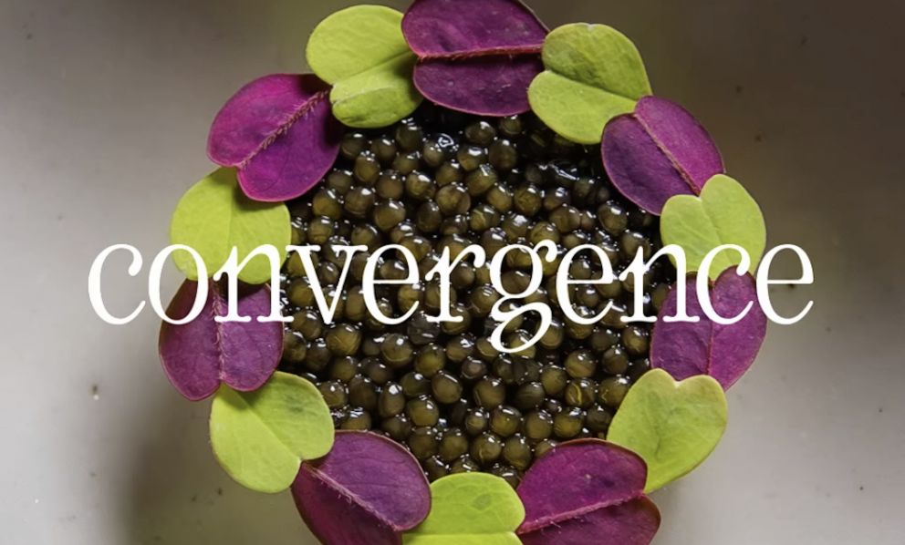 Cosa sarà Convergence, il grande incontro della comunità gastronomica mondiale