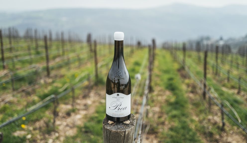 La Collina dei Ciliegi presenta PREA, bianco da vigne in Valpantena, a 600 metri sul livello del mare