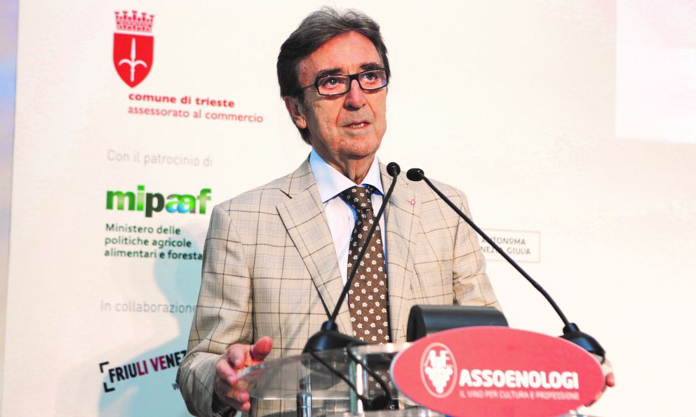 L'appello di Assoenologi al Governo: un pezzo d'Italia rischia di scomparire