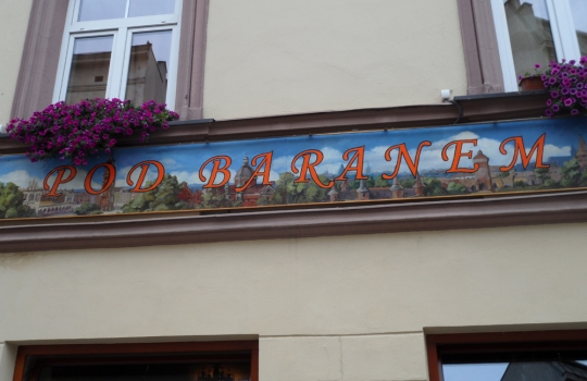 Galleria fotograficaQuest&rsquo;uomo dagli occhi intelligenti e il sorriso bonario si chiama Adam Chrząstowski ed &egrave; il profeta della Nowe kuchni polskiej, la nuova cucina polacca, secondo una sua stessa definizione. Quarantatreenne di Varsavia, da quattro anni ha aperto il suo ristorante Ancora (all&rsquo;italiana, con l&rsquo;accento sulla prima &ldquo;a&rdquo;. Come a dire: di nuovo) a Cracovia, seconda citt&agrave; della Polonia, ma da sempre principale centro culturale, artistico e universitario del Paese.Krak&oacute;w &egrave; una bella citt&agrave;, con un nucleo storico (Stare Miasto) ricco di attrattive anche perch&eacute; quasi del tutto immune dalle distruzioni della seconda guerra mondiale, che hanno invece martoriato, ad esempio, Varsavia o Breslavia. Per secoli &egrave; stata residenza dei re polacchi &ndash; &egrave; tuttora Pantheon della nazione &ndash; poi terza citt&agrave; dell&rsquo;impero asburgico dopo Vienna e Budapest, sempre animata da una vivace vita commerciale, ci si trova all&rsquo;intersezione tra l&rsquo;antica via dell&rsquo;ambra, tra Carpazi e Baltico, e quella Est-Ovest che da Kiev conduce a Praga. Anche per queste molteplici influenze, dal punto di vista architettonico vanta un armonioso sovrapporsi di stili: romanico, gotico, rinascimentale (di diretta derivazione italiana, anche grazie a Bona Sforza, figlia di Gian Galeazzo, andata sposa a Sigismondo I Jagellone e dunque diventata regina), barocco... Nella foto, Rynek Głowny, ossia la pi&ugrave; grande piazza medioevale d&rsquo;Europa, cuore della citt&agrave;, con sulla sinistra la Sukiennice, gotico mercato dei tessuti, e a destra la Kości&oacute;ł Mariacki, chiesa dedicata a Maria.L&rsquo;intensit&agrave; della vita sociale cracovienne si &egrave; sempre riscontrata anche in cucina, ma i decenni sotto l&rsquo;ombrello sovietico hanno prodotto una cesura che solo ora, faticosamente, si sta cercando di ricucire. L&rsquo;isolamento &egrave; durato troppo per non pesare ancora e fa s&igrave; che in citt&agrave; furoreggino i ristoranti &ldquo;d&rsquo;importazione&rdquo; &ndash; italiani in primis &ndash; di qualit&agrave; spesso discutibile: oggi tutto ci&ograve; che &egrave; (pi&ugrave; o meno) esotico attira, dal momento che fino all&rsquo;altro ieri era vietato... L&rsquo;alta cucina &egrave; tendenzialmente d&rsquo;ispirazione francese e/o internazionale (ma senza alcun particolare acuto), mentre della tradizione polacca viene recuperata solo l&rsquo;anima popolare, non particolarmente raffinata: da qui la messe di trattorie &ldquo;tipiche&rdquo; spesso acchiappa-turisti, con menu che richiedono dosi massicce finali di Alka Seltzer. E&rsquo; un trionfo di aringhe, żurek (una zuppa d&rsquo;orzo da sempre assai utile per tamponare i sintomi post-sbornia), gołąbki (involtini di cavolo ripieni), barszcz (versione locale del borsch russo), gli onnipresenti pierogi (ravioli quadrati), per finire con gran piatti di carne arrosto, stufata, grigliata... Nella foto: spiedini, spezzatino e patate in vendita a un chiosco in centro citt&agrave;.Proprio a modificare questo andazzo punta Adam Chrząstowski col suo Ancora (nella foto). Capofila di un &ndash; ancora esiguo - gruppo di colleghi sparsi per il Paese, vuole recuperare anche la tradizione polacca nobile, nel senso letterale del termine (ci si rif&agrave; alle pietanze delle tavole aristocratiche), del tutto dimenticata sotto la cappa comunista. Dunque a Cracovia innovazione significa ora, innanzi tutto, riannodare i fili di una storia gourmand che pareva essersi persa per sempre (la Polonia, ad esempio, &egrave; leader nell&rsquo;allevamento di oche, ma poi solo il 5% di quella carne prelibata viene consumato in loco, fresco o lavorato; il mar Baltico offre a sua volta prodotti straordinari, per&ograve; gran parte del pescato finisce in Scandinavia...); in secondo luogo, significa andare alla ricerca dei tanti piccoli produttori d&rsquo;eccellenza sparsi sul grande territorio, sostenendone l&rsquo;attivit&agrave; e diffondendo una cultura slow food; infine, vuol anche dire applicare a tali materie prime e alle ricette d&rsquo;antan qualche tecnica contemporanea, stando per&ograve; attenti a non epater les bourgeois, che son di casa (la cultura borghese &egrave; storicamente cos&igrave; forte da queste parti, che la citt&agrave; risultava assai invisa ai dirigenti del defunto regime; fecero cos&igrave; costruire una sorta di Cracovia 2, ammasso periferico di acciaierie e inquinamento, proprio per innestarvi un&rsquo;anima proletaria, seppur posticcia).Non siamo quindi certamente al molecolare, l&rsquo;avanguardia &egrave; altrove: la nuova cucina polacca si sostanzia in portate che prevedono perlopi&ugrave; materie prime di qualit&agrave;, del territorio, assemblate recuperando ricette dell&rsquo;alta cucina locale (con qualche spunto creativo) ma in modo da risultare alleggerite, modernizzate e con un impiatto elegante. Per dire: la preparazione di uno simil-zabaione con frutti di bosco sostituisce al marsala un liquore polacco al miele; il (delizioso) sorbetto a met&agrave; pasto &egrave; a base di cetriolo affogato nella Zubrowka, la pregevole &ldquo;vodka all&rsquo;erba del bisonte&rdquo;, aromatizzata cio&egrave; con queste erbette brucate dagli ultimi bisonti europei che pascolano nelle lande semi-disabitate ai confini con la Bielorussia. Chrząstowski non rinuncia mai al sapore, le preparazioni sono d&rsquo;immediata soddisfazione, a rischio di perdere un poco d&rsquo;eleganza. Ma mai in piacevolezza. Menu degustazione di sette portate a 190 złoty, ossia circa 45 euro. Nella foto (invero un po&rsquo; scura, ci scuserete), il Filetto di cervo in crosta di funghi di bosco, con funghi e zucchine: carne portentosa, cotta in modo encomiabile, il miglior cervo che abbia mai mangiato.Molto buona anche la crema di gambero, con gamberetti e pane tostato al formaggio bianco. E da ricordare il piatto nella foto, una sorta di millefoglie dove strati di filetti di triglia si alternano alla pasta delle nostre chiacchiere carnascialesche (tradizione gastronomica dolce che esiste anche da queste parti), presentata in versione salata e fritta &ldquo;easy&rdquo;, il tutto a galleggiare su un mare di splendida salsa alla vaniglia e zafferano. Davvero squisito.In primo piano una zapiekanka, piatto sacro di studenti squattrinati e nottambuli d&rsquo;ogni et&agrave;. Trattasi dello street food per eccellenza di Cracovia, l&rsquo;epicentro del cui consumo &egrave; nell&rsquo;antico quartiere ebraico di Kazimierz, appena a Sud di Stare Miasto: dopo decenni di abbandono sta rinascendo, &egrave; ricco di localini ed &egrave; ora piacevole meta serale della giovent&ugrave; (autoctona o di passaggio) in cerca di divertimento. Al centro della Plac Nowy (piazza Nuova) c&rsquo;&egrave; l&rsquo;Okrqglak (la Rotonda), un edificio con tante finestre da ognuna delle quali s&rsquo;affaccia un diverso venditore di zapiekanki. E&rsquo; in sostanza una mezza baguette, tagliata per il lungo, spalmata di burro od olio e poi riccamente condita con formaggi, salumi, verdure, pat&eacute; o quant&rsquo;altro, con tocco finale di maionese, o salsa tartara, o salsa all&rsquo;aglio... Il tutto viene infine tostato al momento. Tante finestre nella Rotonda, dicevamo, ma cercate quella giusta, perch&eacute; il principe della zapiekanka &egrave; Endzior: davanti a questa gloriosa insegna noi abbiamo addentato la zapiekanka agli spinaci, che sono in crema e accompagnati da salsa tartara: gustosissima, anche se davvero inadatta a chi non ama l&rsquo;aglio. Nella foto, un altro nostro assaggio (si fa per dire: sono fette enormi!), la zapiekanka con salame e formaggio Pucok (sotto gli strati salsicciosi si nascondono anche dei funghi): una vera bomba capace di calmare i morsi della fame almeno per tre generazioni. Il tutto costa tra i 5 e i 10 złoty (ossia comunque meno di 3 euro) a seconda del condimentoAbbiamo chiesto a Chrząstowski, a termine cena: dove ci consigli di mangiare nei prossimi giorni? Lui non ama molto i colleghi di Cracovia che si siedono sugli allori (&laquo;La citt&agrave; &egrave; piena di turisti cui va benissimo gustare, finch&eacute; sono in citt&agrave;, sempre i soliti piatti. Cos&igrave; nessuno inventa, nessuno rischia...&raquo;) e ci ha dato pertanto un&rsquo;imbeccata originale: Pijalnia (nella foto). E&rsquo; la versione polacca del tapas bar spagnolo, w&oacute;dki i piva. Si trova in Tomasza 16, &egrave; aperto 24 ore su 24 e funziona cos&igrave;: si sceglie tra una breve elenco di piattini (che tanto &ldquo;ini&rdquo; non sono, anzi: con due o tre si fa cena) a 8 złoty, circa 2 euro, e li si accompagna ciascuno con una bevanda, tutte a 4 złoty, un euro (di base si dovrebbero abbinare essenzialmente shots di vodka, ma ci sono alternative meno alcoliche). Non male, oltre a essere divertente. Simile &egrave; l&rsquo;Ambasada Śledzia in Stolarskiej, proprio davanti al consolato statunitense.Praticamente a fianco del Pijalnia sta un altro bel localino assai apprezzato da indigeni e turisti. Il Caf&eacute; Camelot &egrave; uno di quei classici posti utili dalla mattina presto a tarda notte, offre un assortimento di buone colazioni diverse tra loro, poi insalatone, qualche piatto, dessert (non pi&ugrave; che discreti), cocktail d&rsquo;ogni tipo, un&rsquo;attenta selezione di t&eacute;, vodke e liquori artigianali, e ancora frullati, gelati e quant&rsquo;altro. Tutto viene servito con garbo, un certo stile e un abbondante uso di frutta, che da queste parti non &egrave; poi banale. Una sosta piacevole.Chi ha buona memoria e legge da tempo le newsletter di Identit&agrave; Golose ricorder&agrave; forse la storia dei Blikle, famiglia di pasticceri da cinque generazioni: la prima serranda sal&igrave; a Varsavia nel 1869. Gabriele Zanatta faceva parlare Andrzej Blikle, oggi gestore del marchio assieme al figlio, che raccontava la parabola dei paczek, dolcetto da colazione o merenda pi&ugrave; famoso di Polonia, sorta di ciambella senza buco, ripieno di confettura (rosa canina selvatica, fragola, mirtillo, lampone...) o crema bavarese, poi spalmato di zucchero a velo con piccoli zest d&rsquo;arancia. &laquo;Ai tempi del comunismo &ndash; narrava l&rsquo;Andrzej - le arance costavano 50 volte tanto cos&igrave; come tutti gli altri agrumi e le marmellate. Nessuno poteva permettersele. Il regime poi proibiva crema e cioccolato, simboli del capitalismo. E vietava anche il servizio al tavolo nei bar. Stando cos&igrave; le cose, io preferii andare a studiare ingegneria a Pisa: chi me lo faceva fare di portare avanti il deli di famiglia in condizioni cos&igrave; penalizzanti?&raquo;. Ora i Blikle son tornati, anzi si sono espansi. E hanno aperto un centralissimo punto vendita anche a Cracovia (Św. Jana 12): ci sono tutte le loro prelibatezze da pasticceria, ma il locale fa anche da sala da t&eacute; (poi per&ograve; ti portano il t&eacute; Lipton, con tutto il rispetto, e un po&rsquo; di magia se ne va). Nella foto, il buon paczek finito nel mio stomaco, affiancato dal deludentissimo t&eacute;.