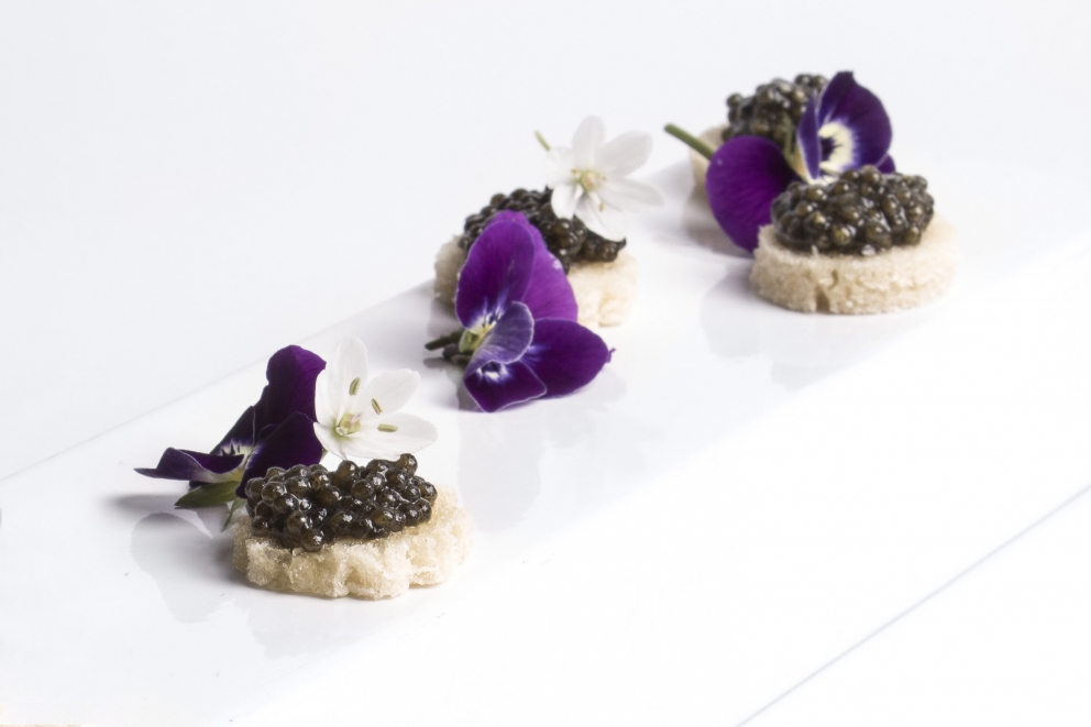 Galleria fotografica






Una foto d'epoca dell'antica bottega di Nuta a Ferrara






