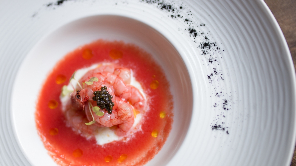 Galleria fotografica



