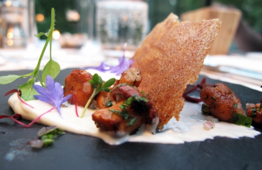 Galleria fotografica



