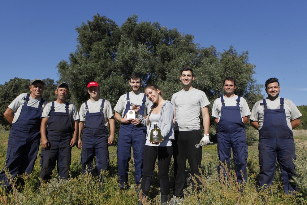Photogallery






The best olives? Damaskinoelies by Michalis Ainatzoglou. They are as large as plums and come from an ancient variety cultivated in the region of Argo, in the Peloponnesus. Ainatzoglou owns secular olive trees in Kiveri. He leaves the gigantic olives to ripen in salt, following a traditional method; he then rinses them and pasteurises them. Thanks to this process they’re preserved without chemicals. Tel: +30.6977.500810











