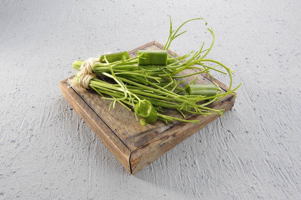 Photogallery






RUSSIAN DEBUT. Viola Cateni of Identità Golose with Vladimir Mukhin, White Rabbit in Moskow








SUBLIMATION OF LEFTOVERS. Massimo Bottura








SOUTHERN UNITED STATES. Sean Brock of Husk, Charleston








HEALTH AND TASTE. Heinz Beck and Francesca Barberini








EL COQ's CREST. Lorenzo Cogo, El Coq in Marano Vicentino








BLUE LAGOON. Lionello Cera, Antica Osteria Cera, Campagnia Lupia (Venice)








CHICKENS AND STARS. Gian Pietro Damini, Damini e Affini, Arzignano (Vicenza)








SILENCE AND BEAUTY. Kei Kobaiashi, a Japanese pastrychef in Paris








A HOMAGE TO GREAT SPANISH CHEFS. Josep Maria Rodriguez Guerola from Barcelona








THE TASTY KILOMETRE. Corrado Assenza, Caffè Sicilia, Noto (Siracusa)








VEGETARIAN ASCESIS. Pietro Leemann, Joia, Milan








KING OF THE KITCHEN GARDEN. Enrico Crippa, Piazza Duomo, Alba (Cuneo) 








GEOMETRICAL INTELLIGENCE. Davide Scabin, Combal.zero, Rivoli (Torino)








ETHICS AND RESPONSIBILITY. Davide Oldani, D'O, Cornaredo (Milan)








ESTEROFILIA? WHAT IS IT? Fabio Pisani e Alessandro Negrini, Aimo e Nadia, Milan








PASSATELLI IN PARADISE. A Massimo Bottura's dish








IN LOVE WITH 'NDUJA. Bryce Shuman, Betony, New York








CHEF AND SOUS-CHEF. Carlo Cracco e Luca Sacchi, Cracco, Milan








PINK BLOOD. PInk bloody rice by Christian Milone, Gastronavicella della Trattoria Zappatori, Pinerolo (Turin)








BEE COOKING. Cristina Bowerman's nest, Glass Hostaria, Rome








A 7 NOTES MENU. Enrico Bartolini, Devero, Cavenago Brianza








ALTITUDINE VERTIGO. Virgilio Martinez, Central, Lima, Perù








BY THE MAESTRO. Gualtiero Marchesi and Gianluca Fusto








VEGETARIAN TURN. Alain Ducasse and Romaine Meder, Plaza Athénéee, Paris








THE CUSTOMER IS NOT SERVED. Marco Giallini and Marco Reitano, Noi di Sala








MISTER 20 RESTAURANTS IN 4 YEARS. Jason Atherton, Pollen Street Social and lots more








THE BREAD GIANT. Great spelt bread cooked with sea herbs and five seaweeds by Gabriele Bonci, Bonci bakery, Rome








GLUTEN FREE. Sweet awakenings by Loretta Fanella








IRON ANGEL. Loretta Fanella, Borgo San Jacopo, Florence








THE DECALOGUE. Niko Romito, 3 Michelin stars in Abruzzo and lots more, including Milan








FRIED DELIGHTS. Fried grain by Renato Bosco








MY BELOVED SPECK. Riccardo Gaspari, El Brite de Larieto, Cortina d'Ampezzo (Belluno)








EARTHY PIZZA. Turnip di Simone Padoan of I Tigli in San Bonifacio (Verona)








A SARDINIAN IN PARIS. Simone Tondo, Roseval, Paris








MOUNTAINS I LOVE YOU. Stefano Ghetta, L' Chimpl da Tamion, Trentino








ALTOPIANO MON AMOUR. Alessandro Dal Degan, La Tana in Asiago (Vicenza)








BRITISH CONSOMME'. Brett Graham, The Ledbury, London








CALABRIA REVISITED. Bottoncini with almonds and 'nduja by Caterina Ceraudo, Dattilo, Strongoli (Crotone)





