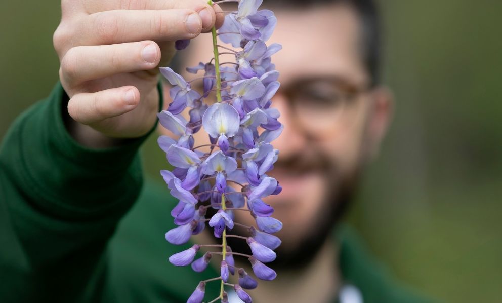 Percorso Botanika, armonia nel piatto e sensibilità veg: lode a Domenico Marotta