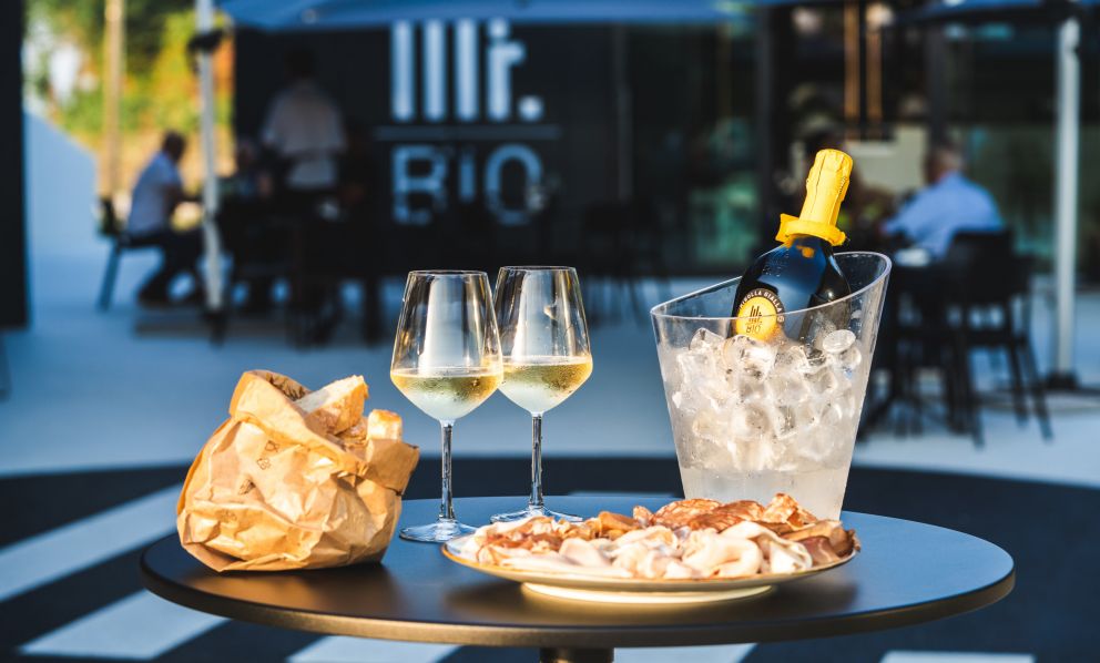 Mr. Bio: unusual wine tasting in Friuli