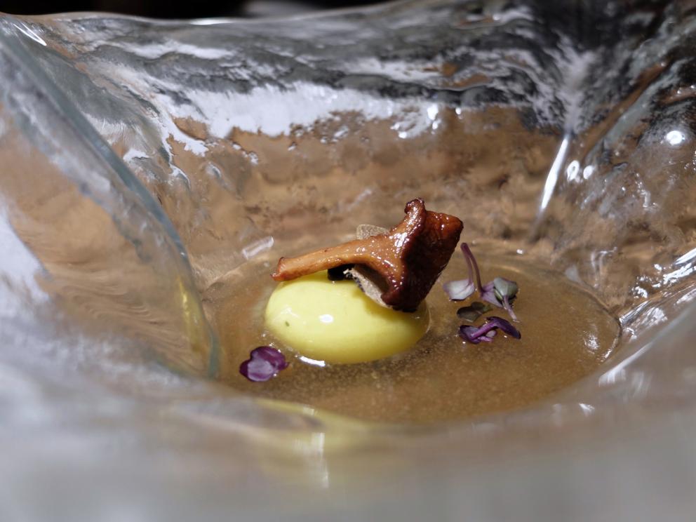 Galleria fotografica



