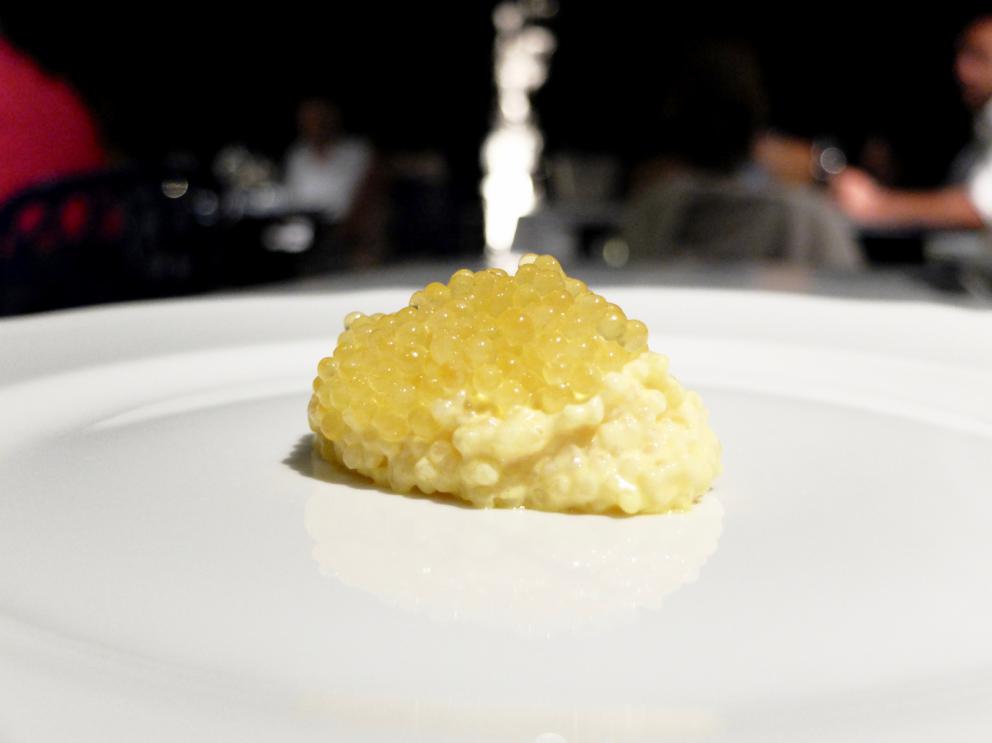 Galleria fotografica






La nostra cena da Riccardo Camanini negli scatti di Tanio Liotta. S'inizia: invece della solita stanca processione di appetizer, un piatto "vero": Mela, caprino, basilico






