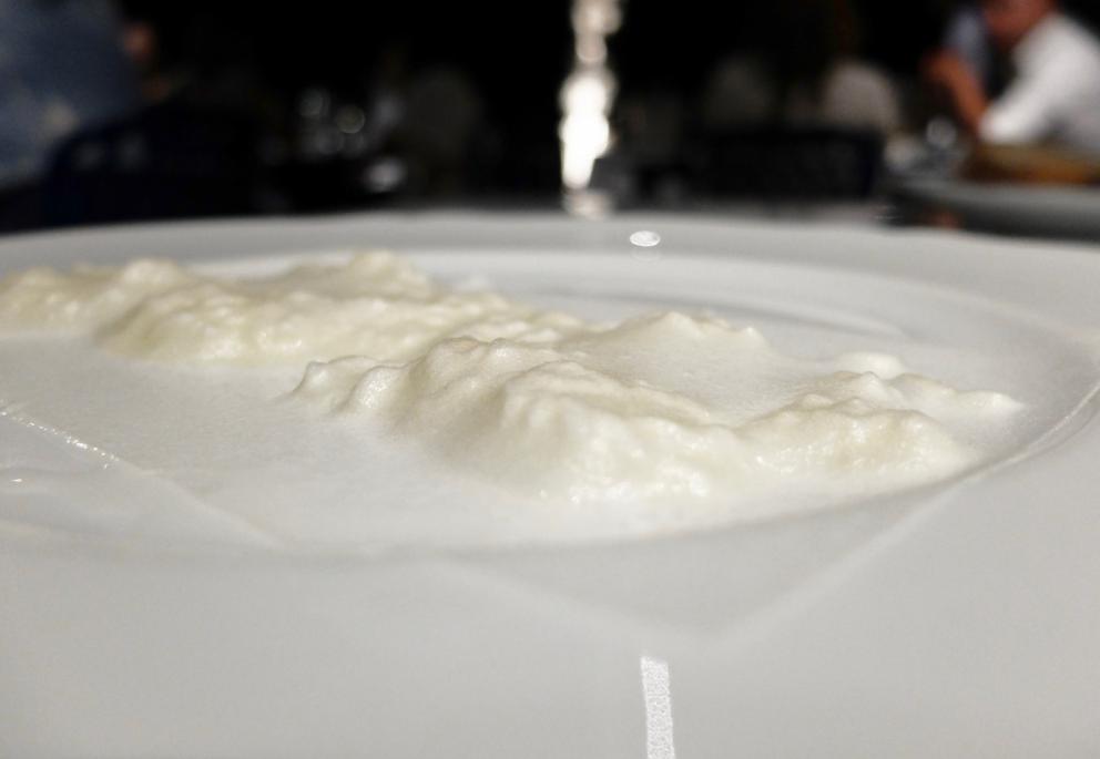 Galleria fotografica






La nostra cena da Riccardo Camanini negli scatti di Tanio Liotta. S'inizia: invece della solita stanca processione di appetizer, un piatto "vero": Mela, caprino, basilico









Tapioca, arancia e uova di salmerino









Ostrica Fine de Claire Krystale scottata, zenzero, olio di nocciole Igp. L'abbinamento tra ostriche e nocciole è sublime (lo avevamo già apprezzato da Luigi Taglienti): qui c'è anche il tocco magico dello zenzero









Tartare di pesce persico del Garda, maionese leggera di foglie di fico, semi di girasole tostati









Doppi bottoni, cavolo rapa, ricotta al limone, sgombro e colatura di alici di Cetara






