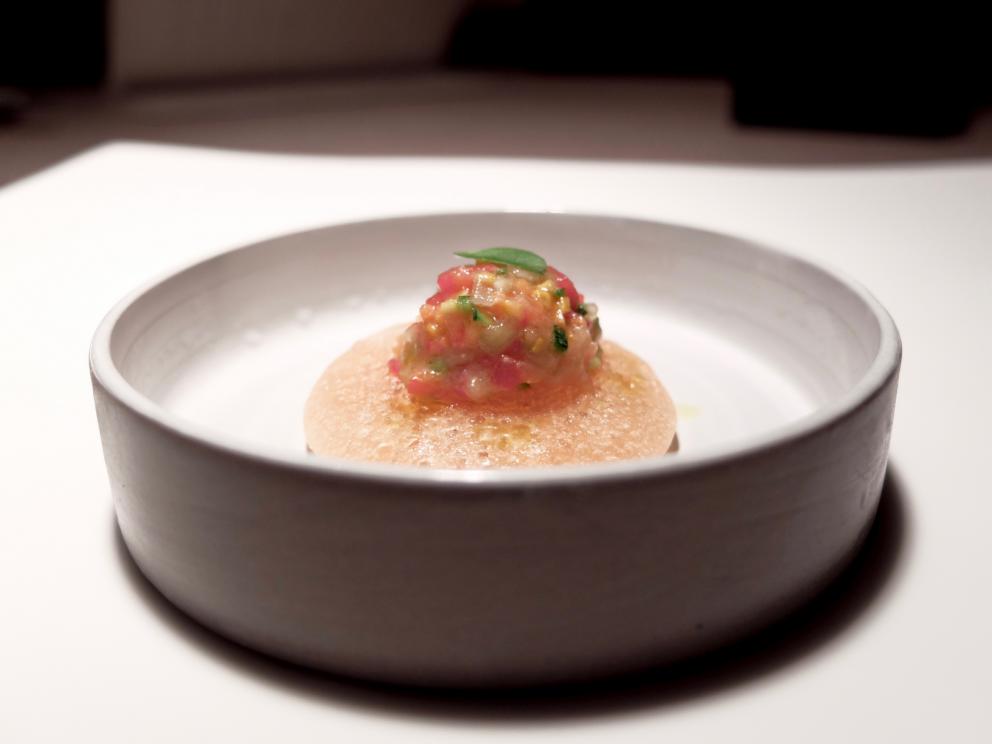 Galleria fotografica



