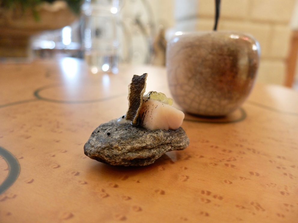 Galleria fotografica



